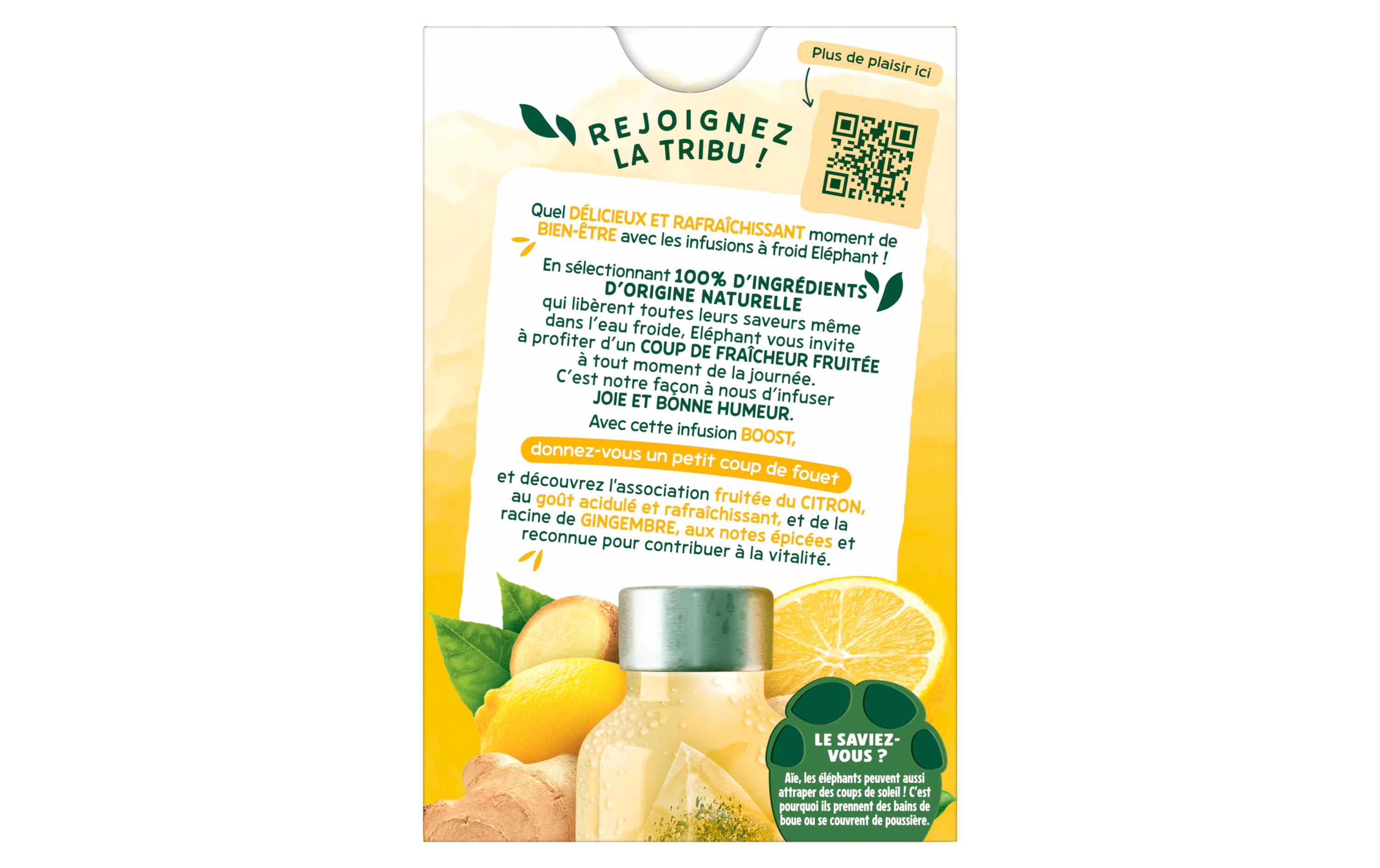 Eléphant Teebeutel Cold Infusion a Froid Boost 20 Stück