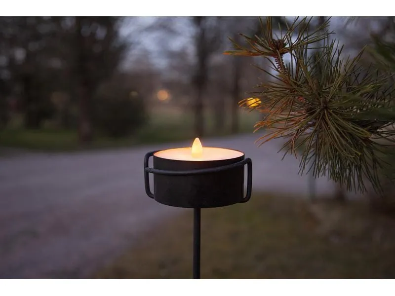 Star Trading LED Teelicht Maxi Ø 10 x 7 cm, Schwarz Star Trading LED Teelicht Maxi Ø 10 x 7 cm, Schwarz