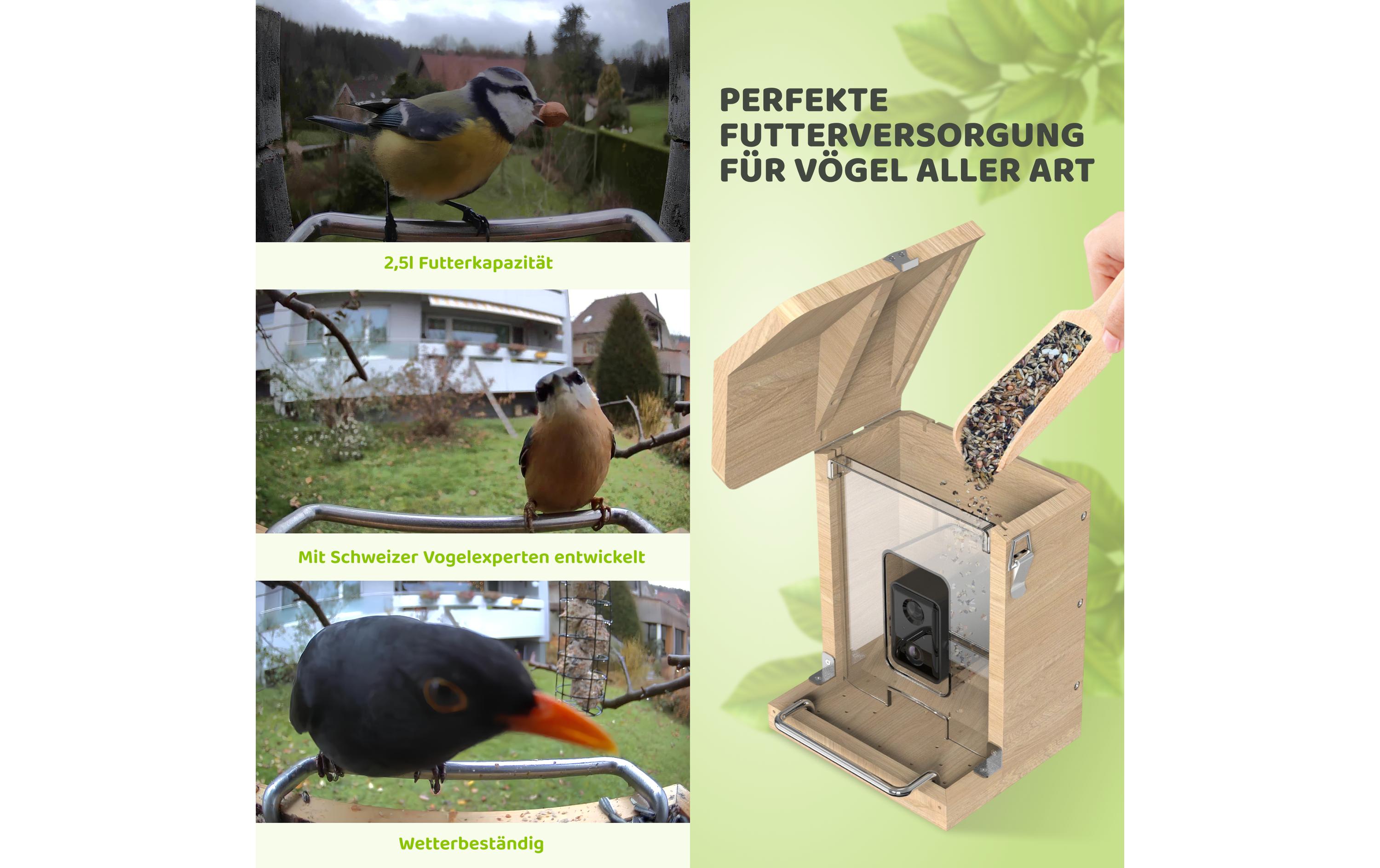 Sanilu Vogelfutterhaus mit Kamera ohne Solarpanel