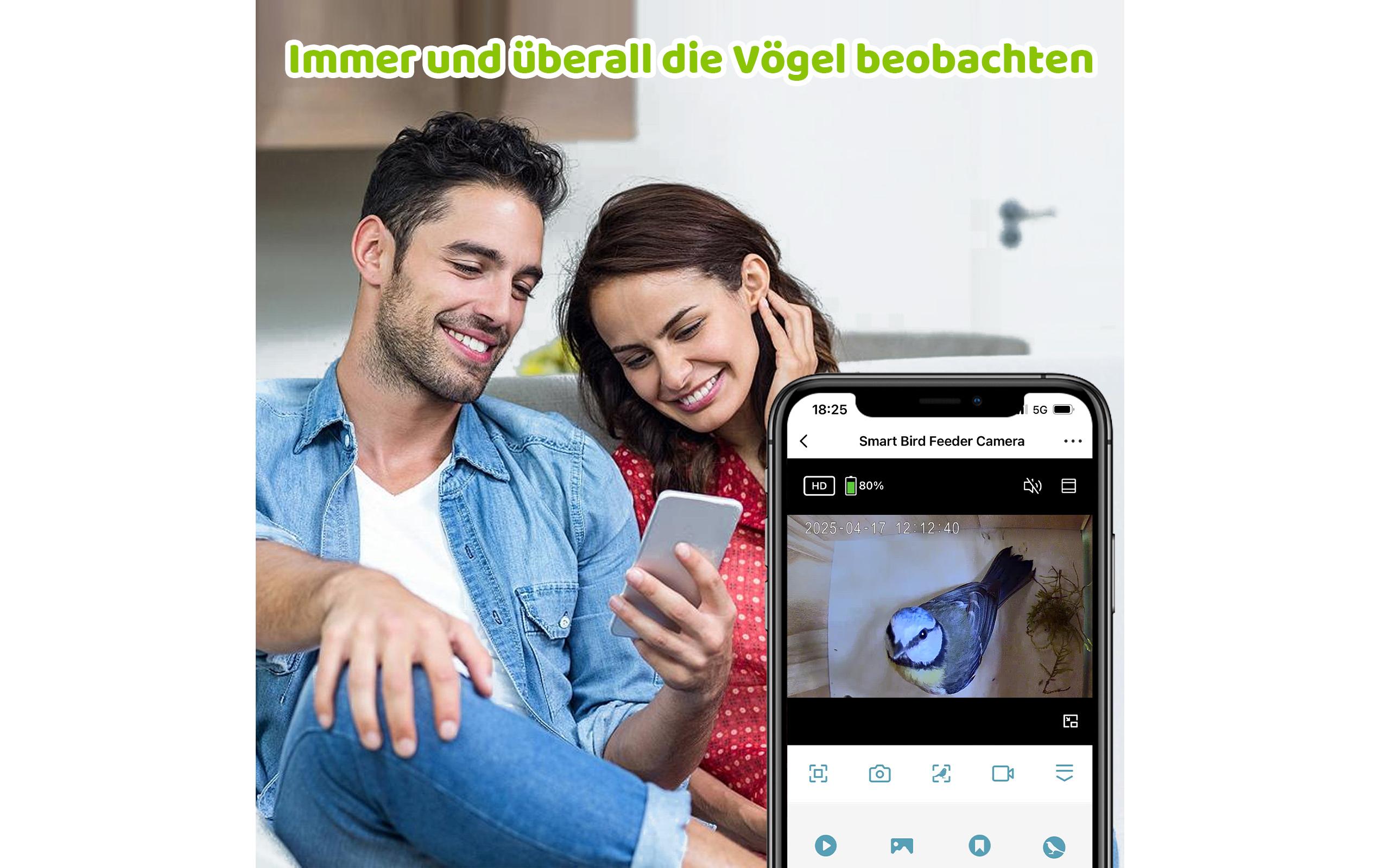 Sanilu Vogel Nistkasten mit Kamera