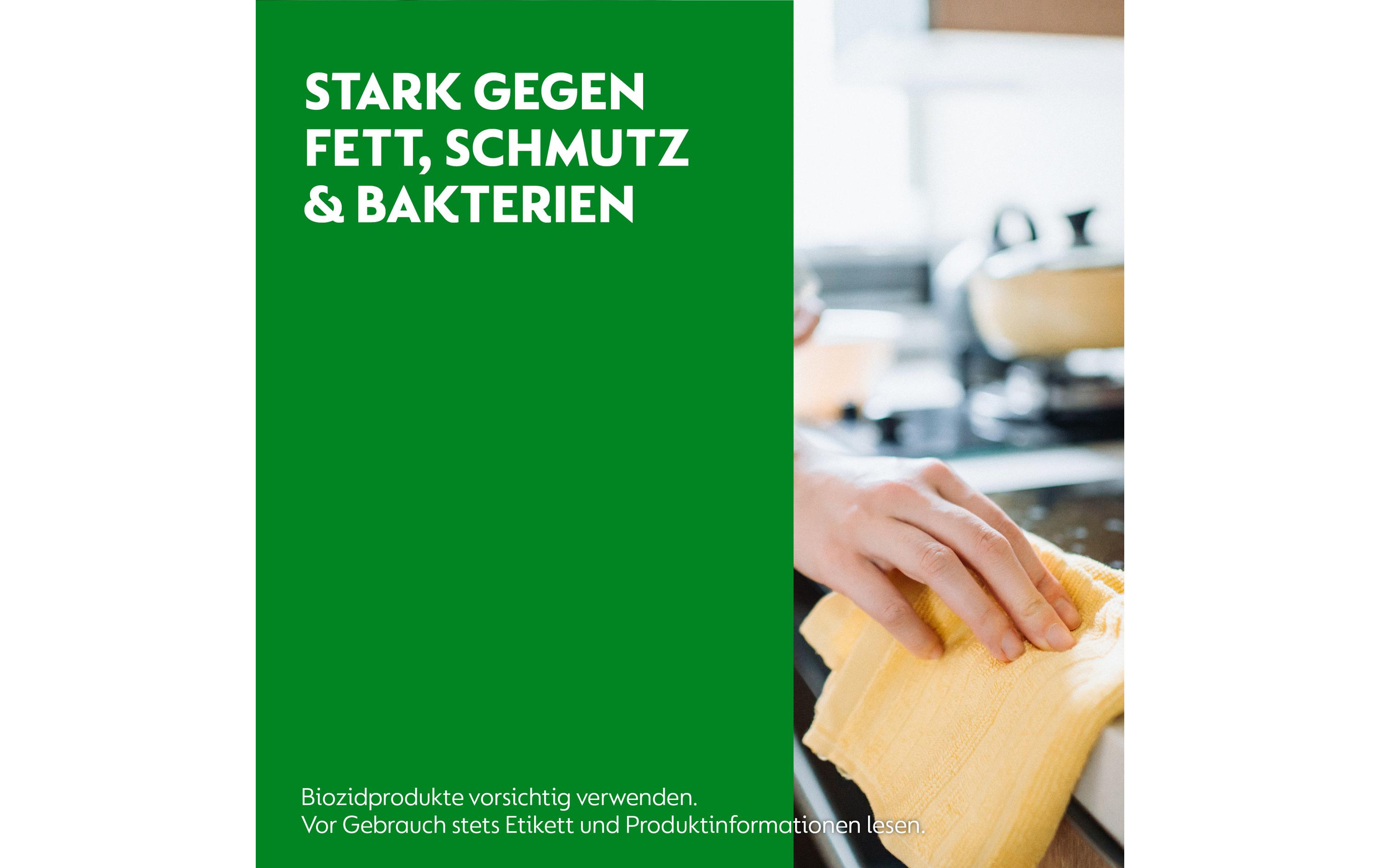 Dettol Allzweckreiniger Frischeduft 750 ml