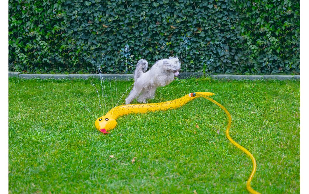 Beeztees Splashy Schlange 150 cm