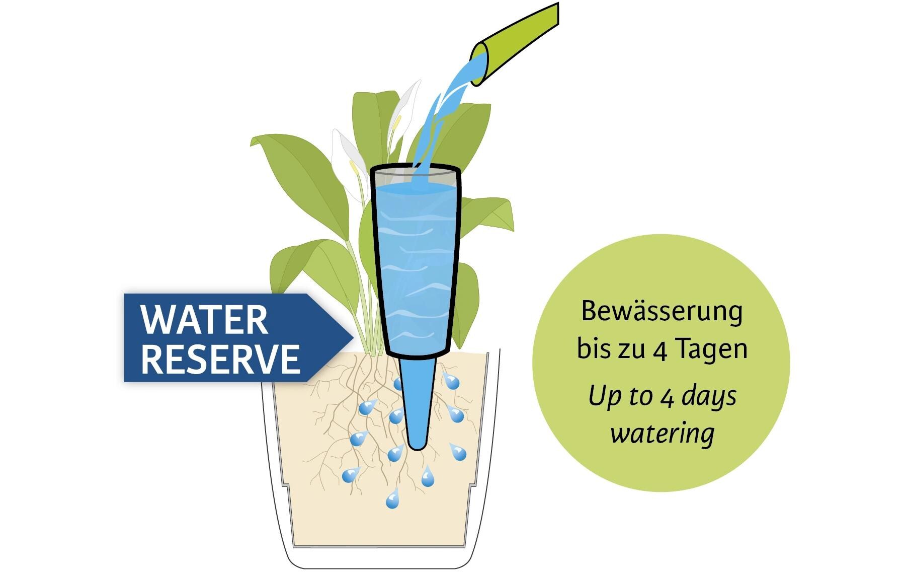 scheurich Wasserspender Copa M, Grün