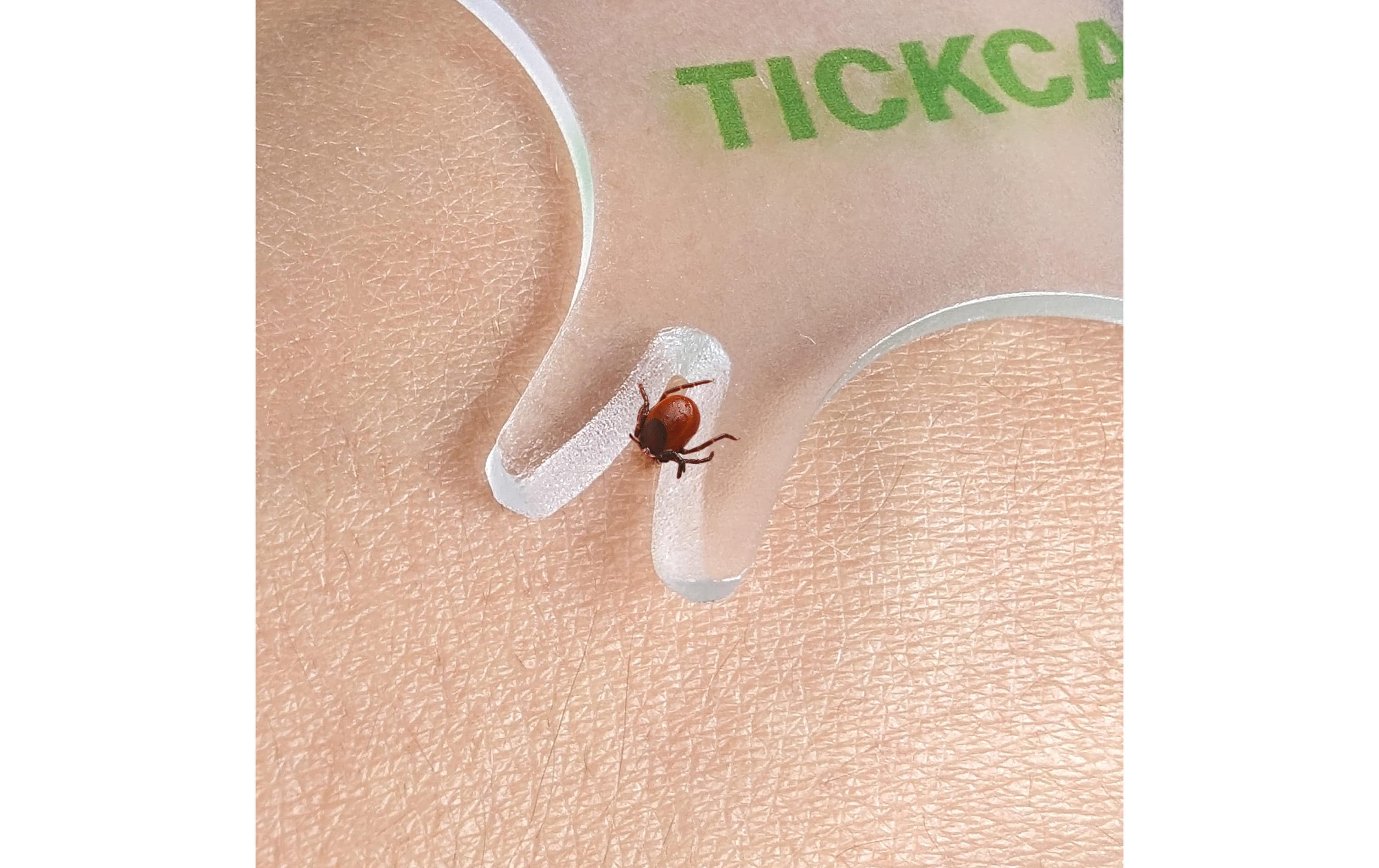 Quick Aid Zeckenkarte mit Lupe 1 Stück