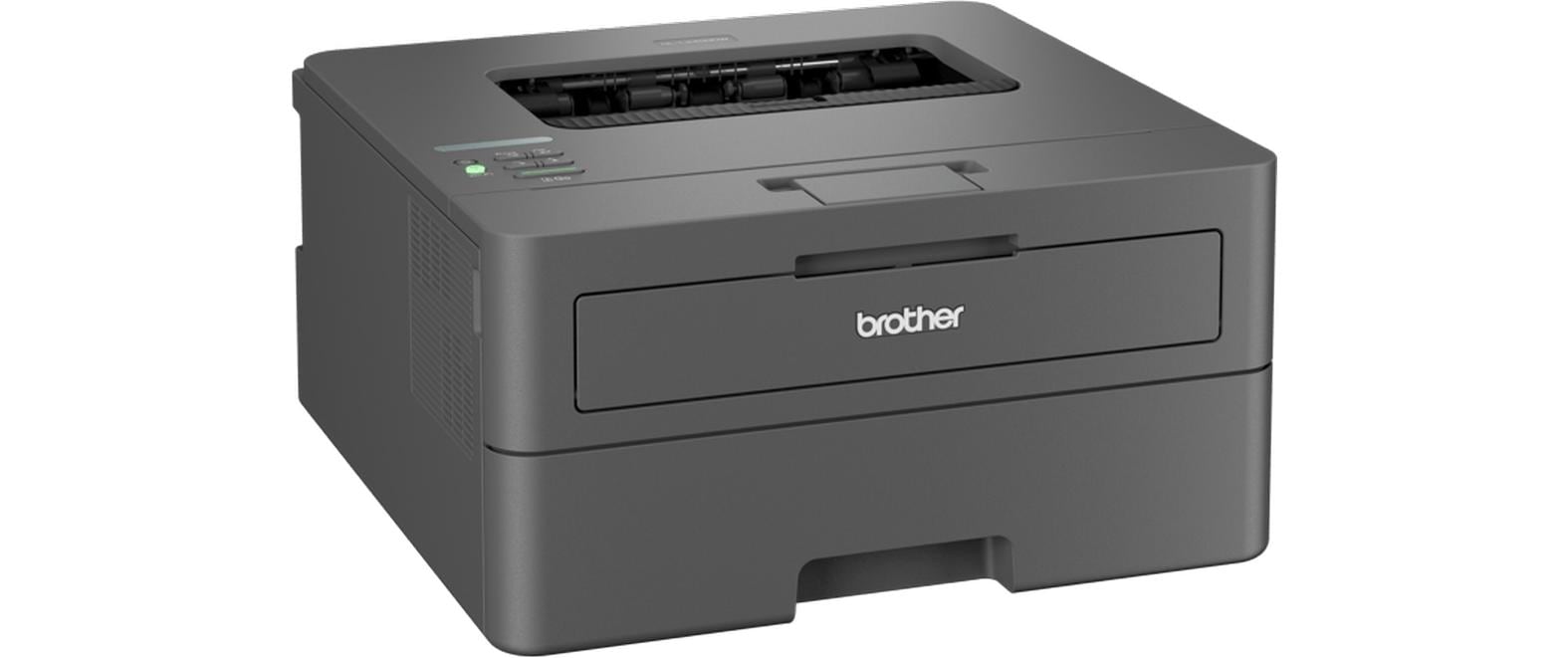 Brother Drucker HL-L2400DW