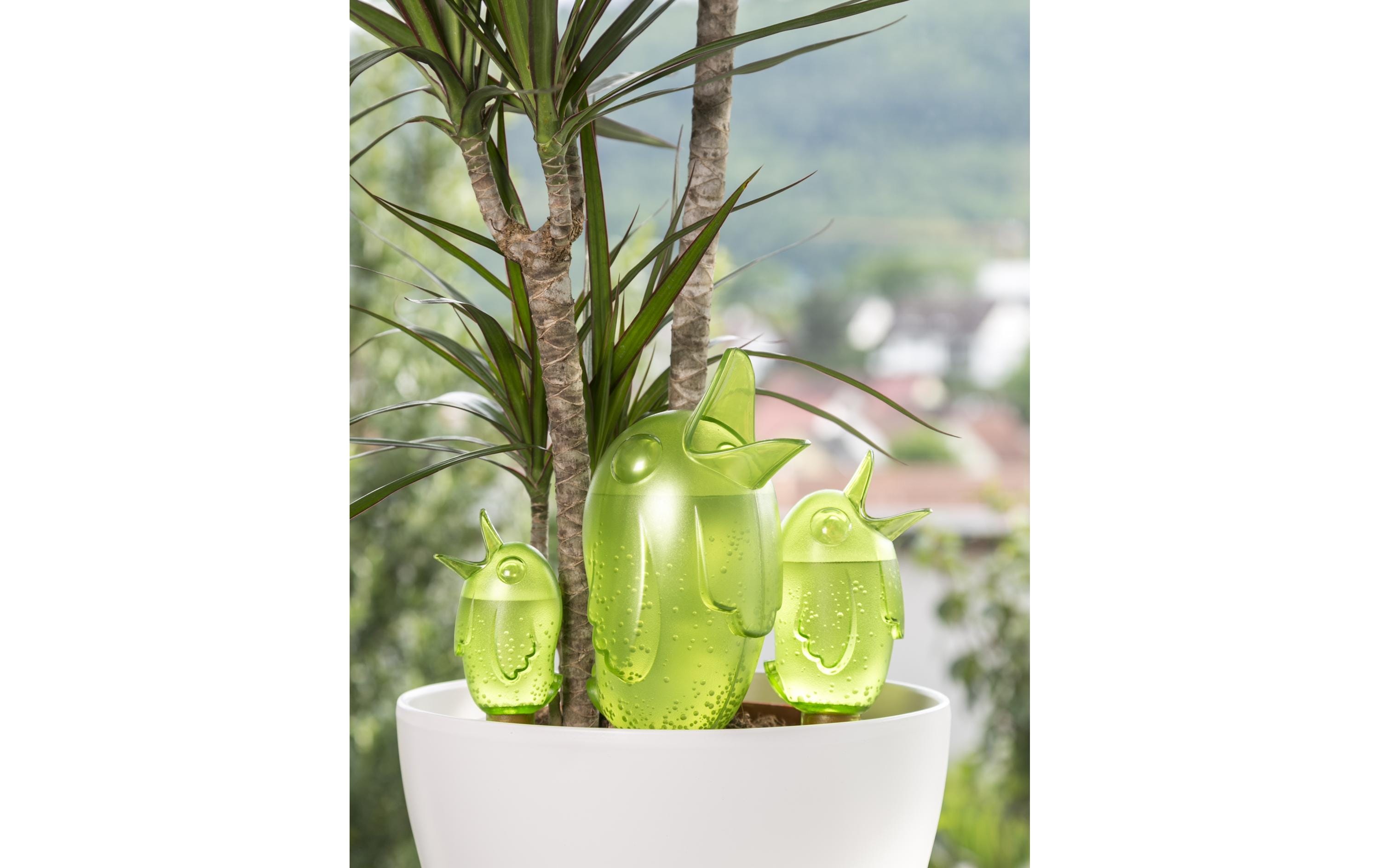 scheurich Wasserspender Bördy M Grün scheurich Wasserspender Bördy M Grün