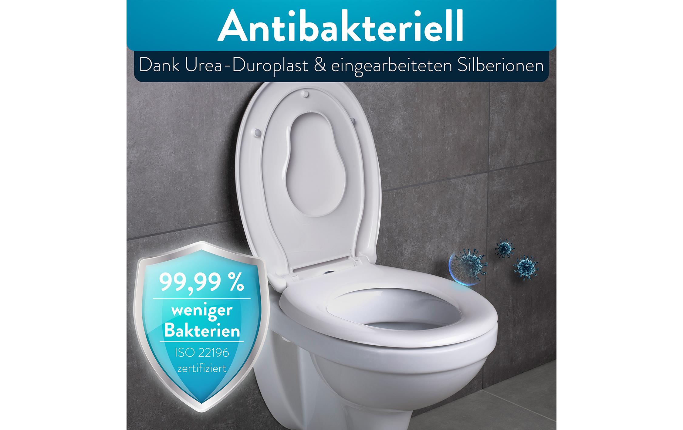 Benkstein Toilettensitz