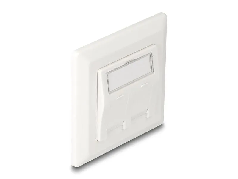 Delock Montageset Keystone 2 Port Anschlussdose Delock Montageset Keystone 2 Port Anschlussdose