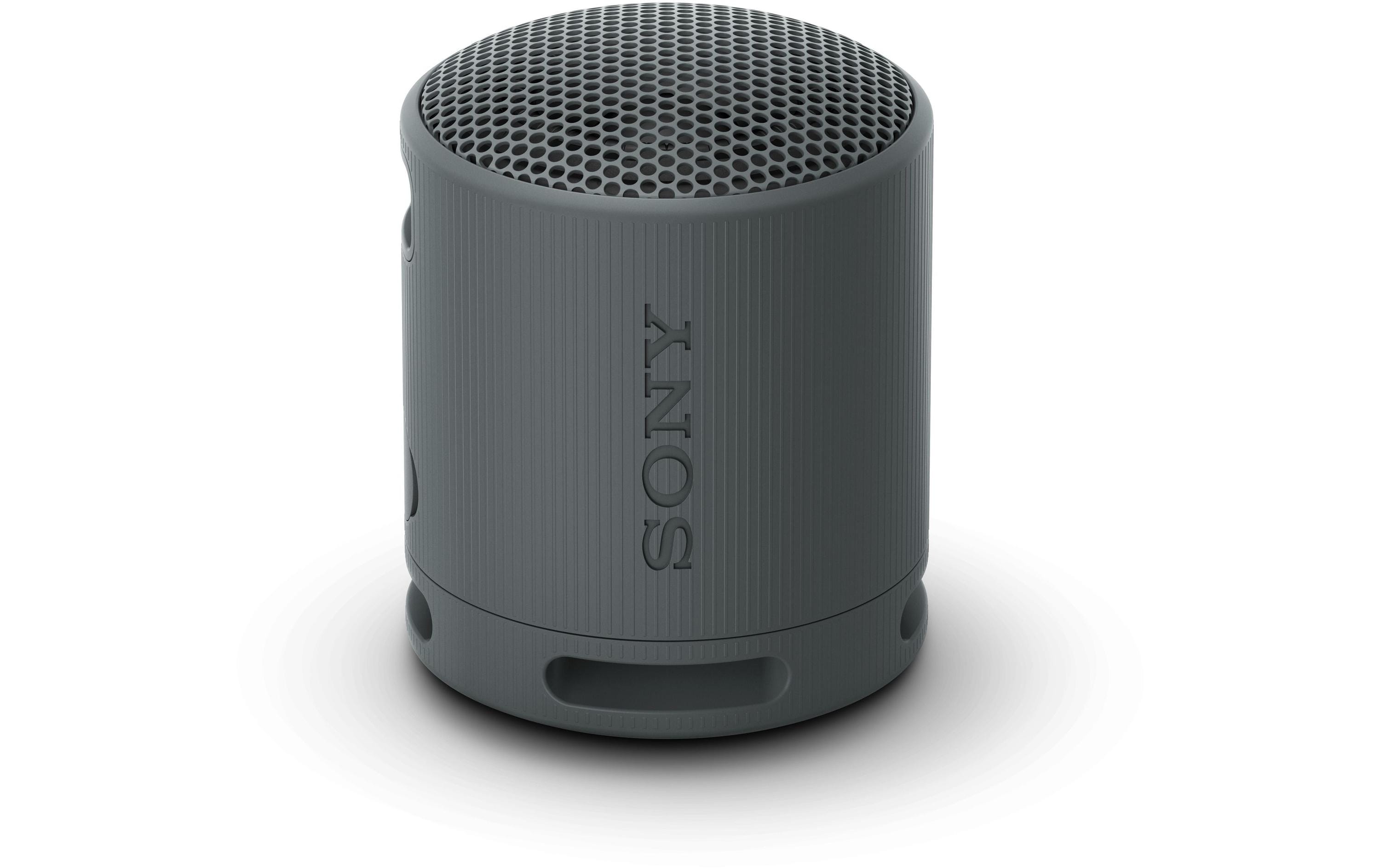Sony Bluetooth Speaker SRS-XB100 Schwarz Sony Bluetooth Speaker SRS-XB100 Schwarz