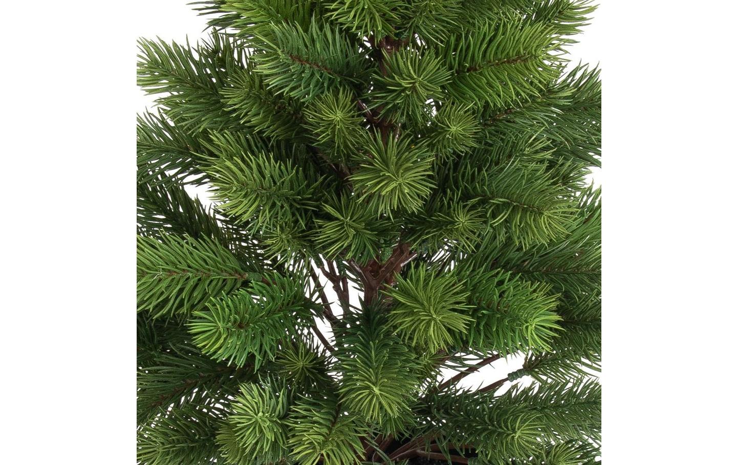 Botanic-Haus Weihnachtsbaum 60 cm, im Topf