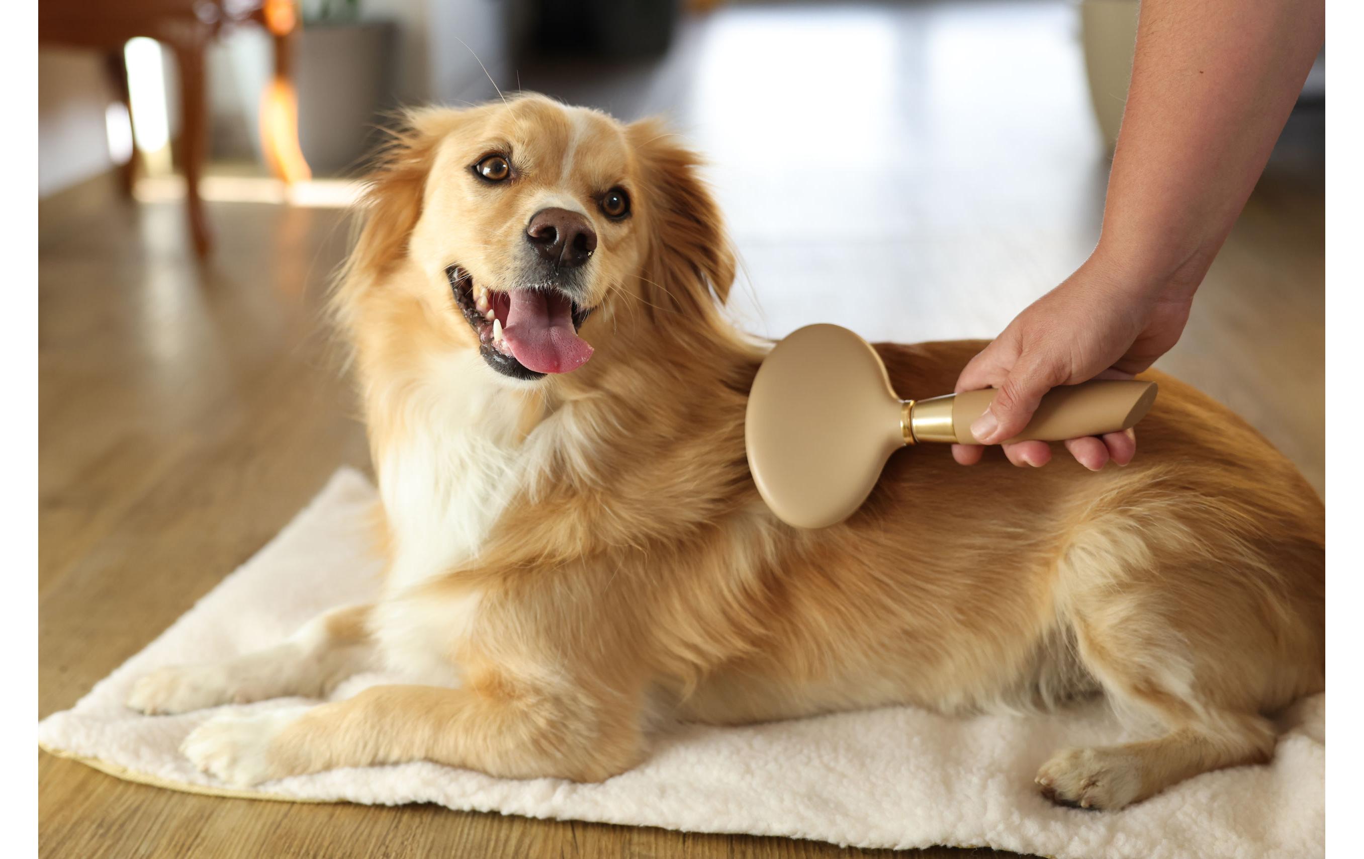 Kerbl MagicBrush Softzupfbürste 11 cm x 21 cm Kerbl MagicBrush Softzupfbürste 11 cm x 21 cm