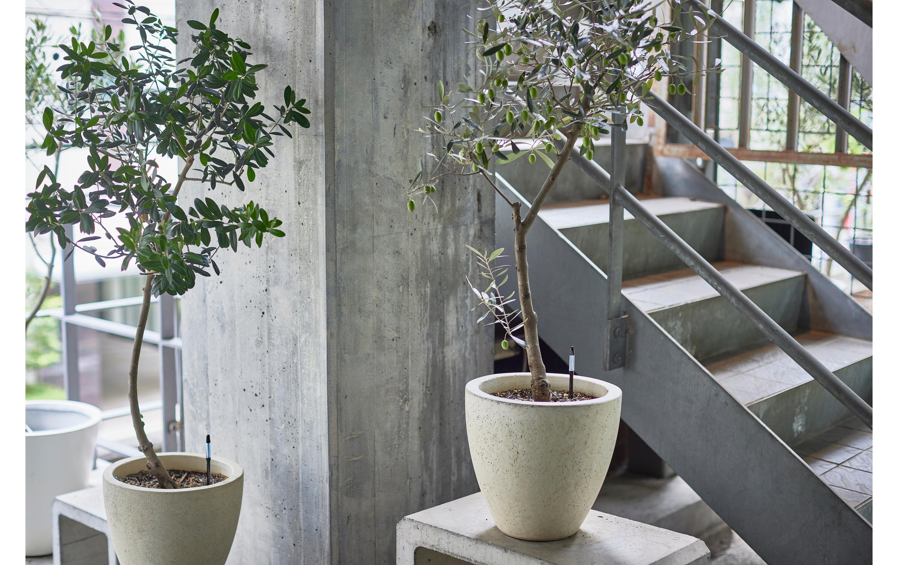 SUStee SUSTEE Einzelpack Giessanzeiger S Schwarz Schwarz