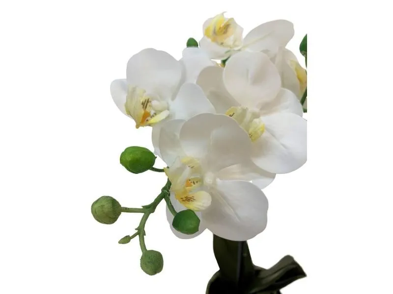 Botanic-Haus Kunstblume Phalenopsis 1 Rispe im Topf, Weiss Botanic-Haus Kunstblume Phalenopsis 1 Rispe im Topf, Weiss