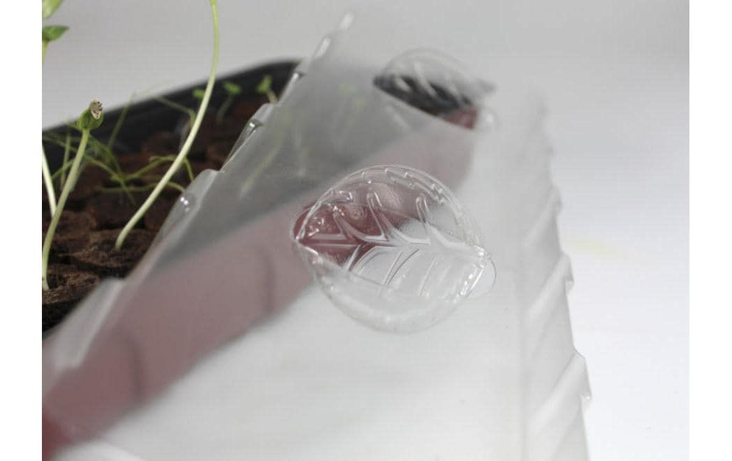 Windhager Fensterbank-Treibhaus mit 36 Quell-Tabs