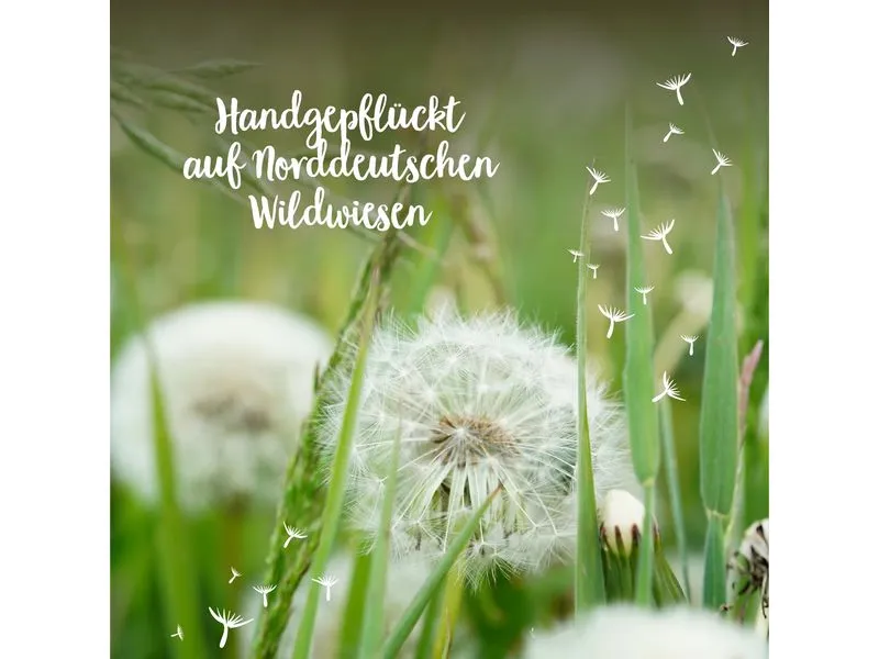 Die Stadtgärtner Wunscherfüller klein Pusteblume Natur