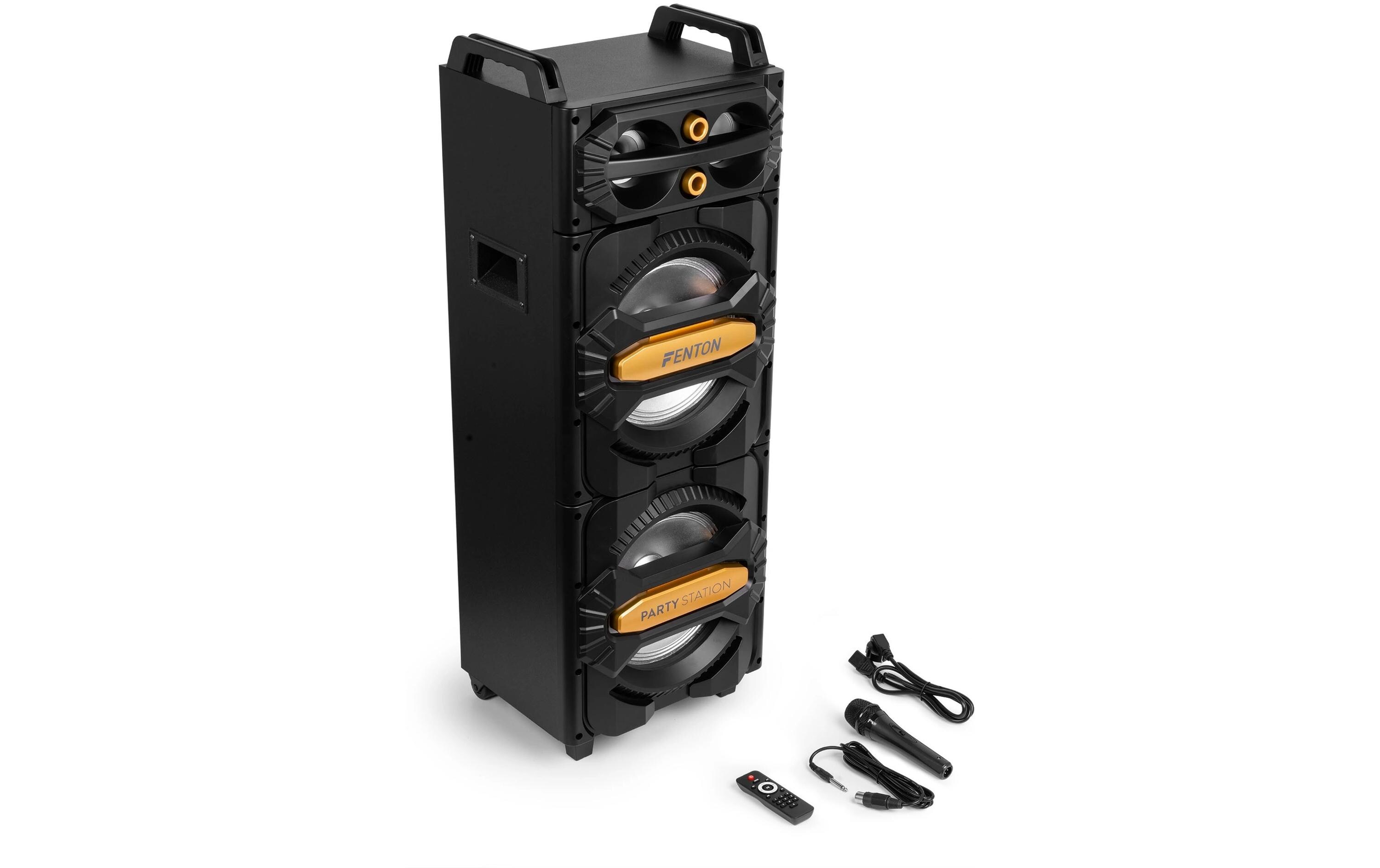 Fenton Lautsprecher LIVE2102