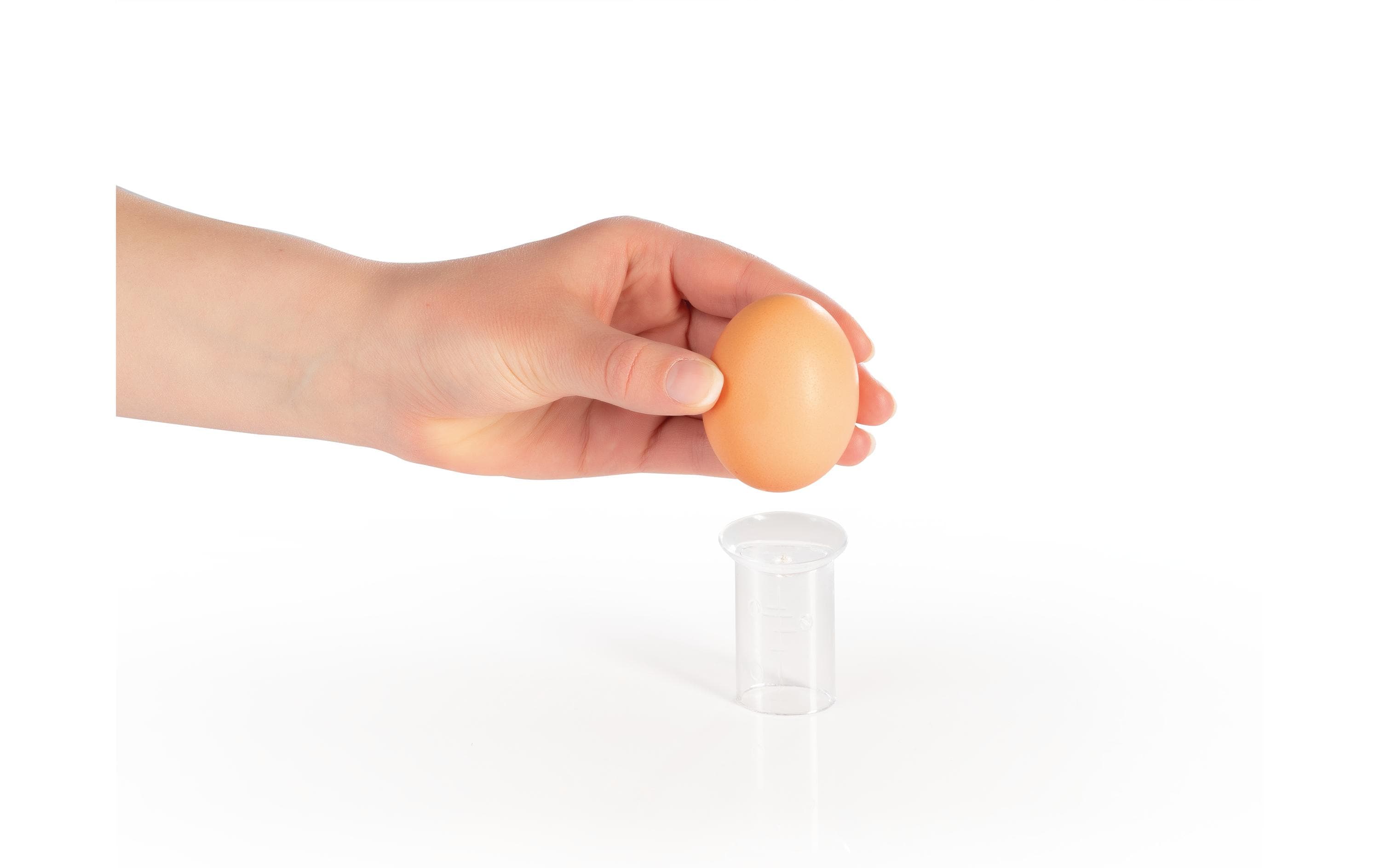 GOURMETmaxx Eierkocher 1, Schwarz/Silber