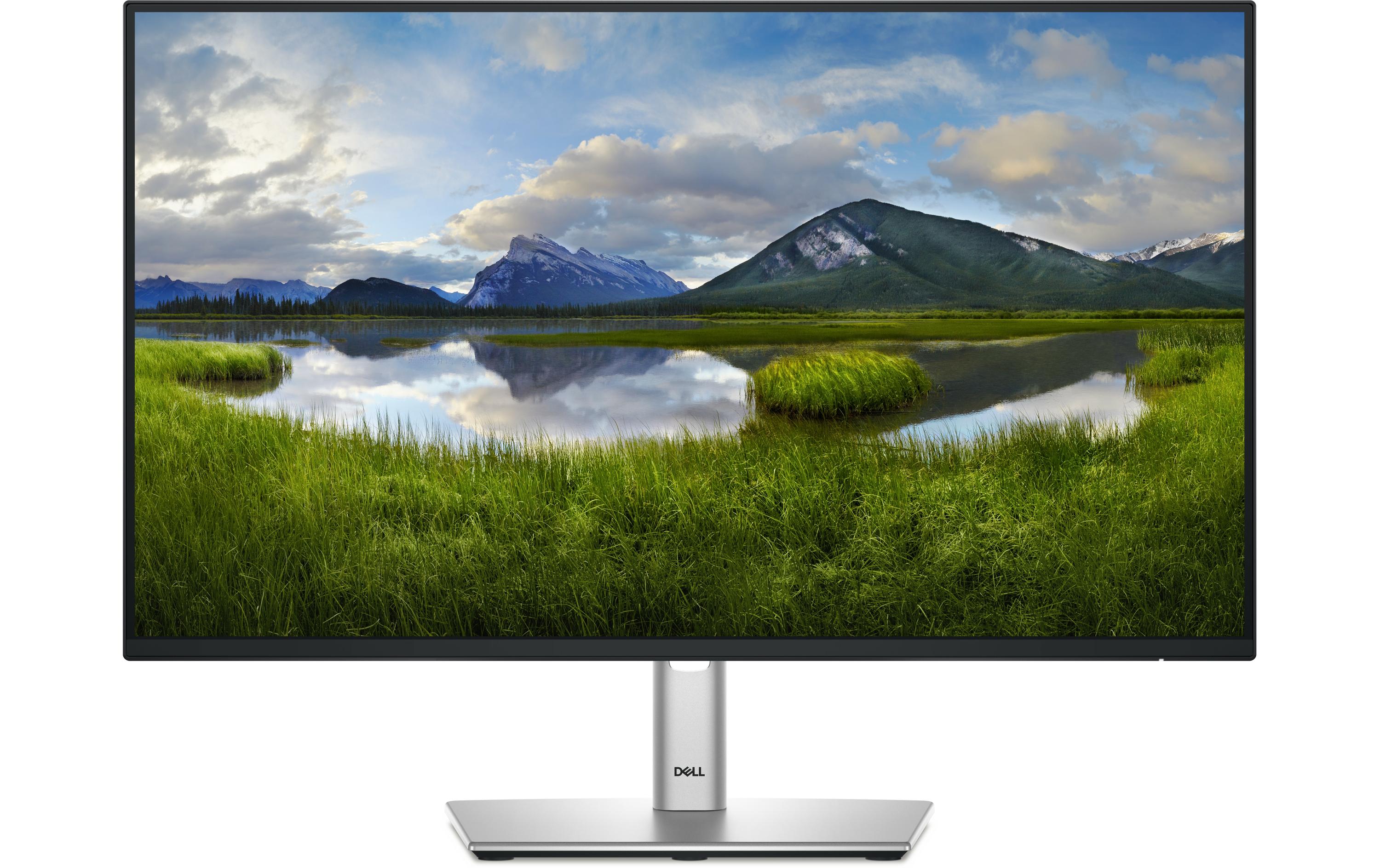 DELL Monitor P2425H DELL Monitor P2425H