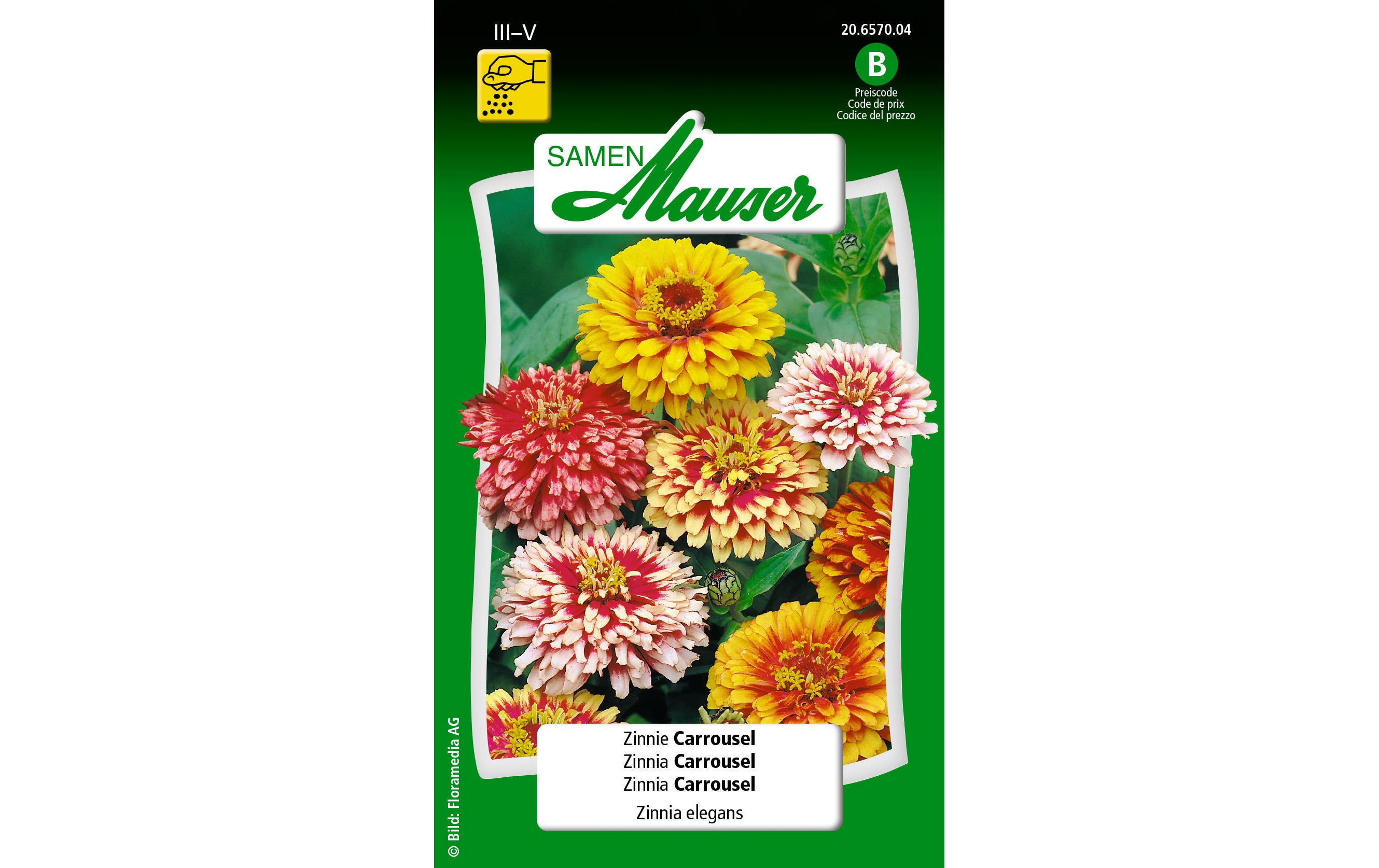 Samen Mauser Saatgut Zinnie Carrousel