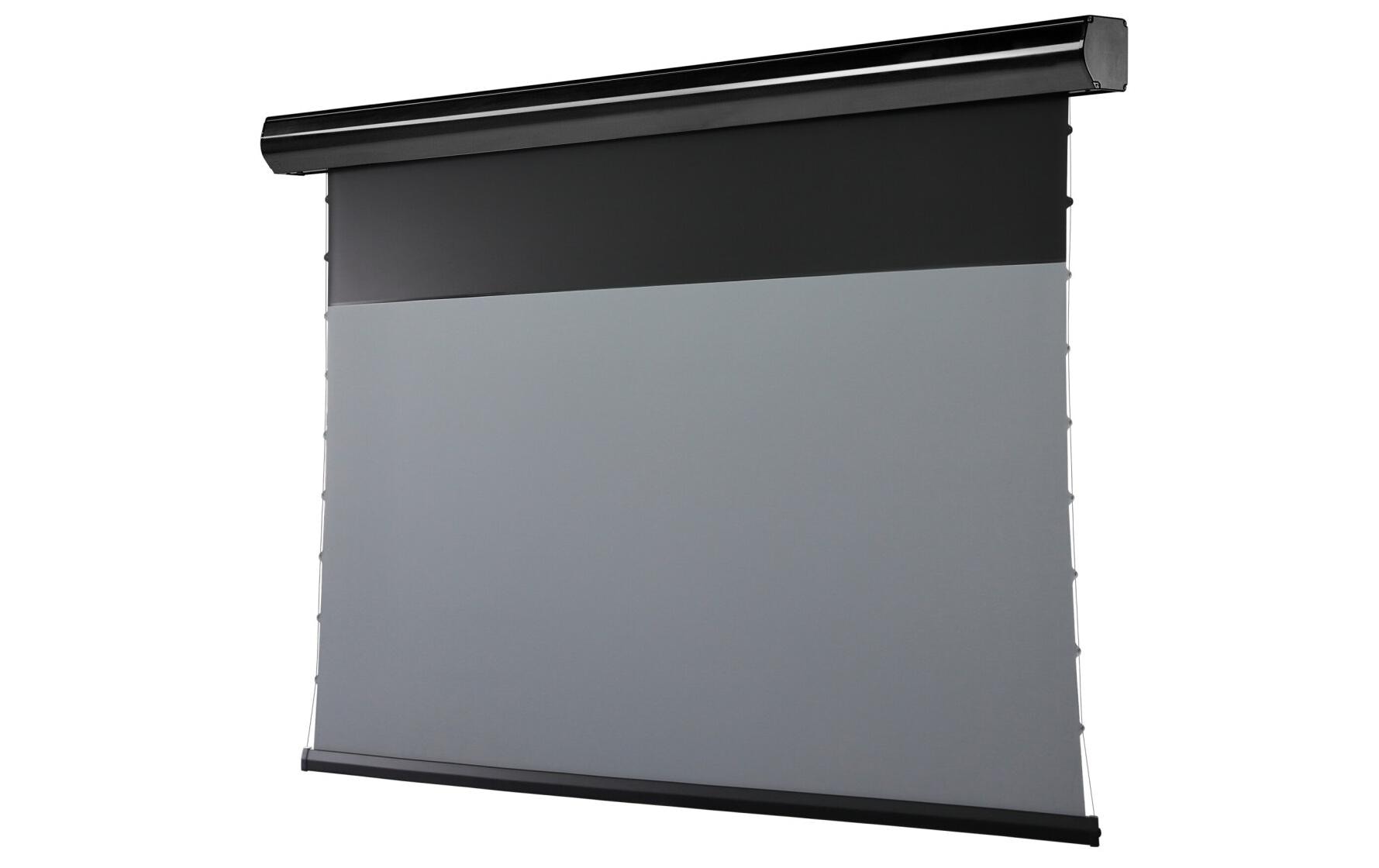 Celexon Motorleinwand HomeCinema Plus Tension 221.4x124.5 cm Schwarz Celexon Motorleinwand HomeCinema Plus Tension 221.4x124.5 cm Schwarz