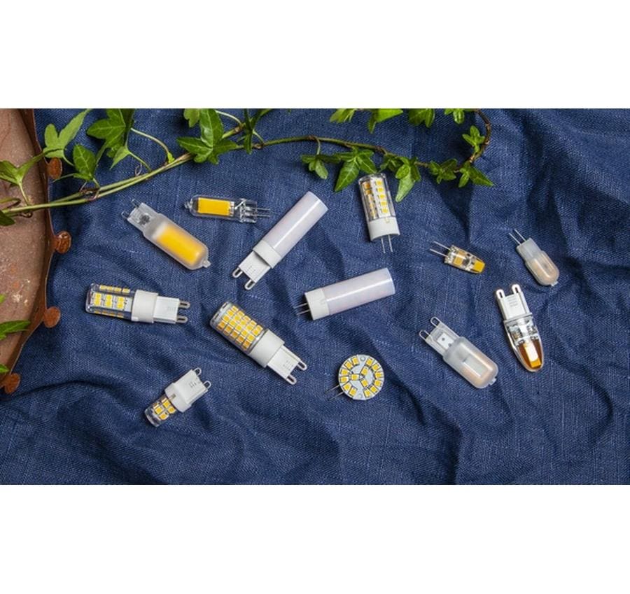 Star Trading LED Leuchtmittel G4 Halo-LED 180 lm, 2700K, 2W, 12 V AC/DC