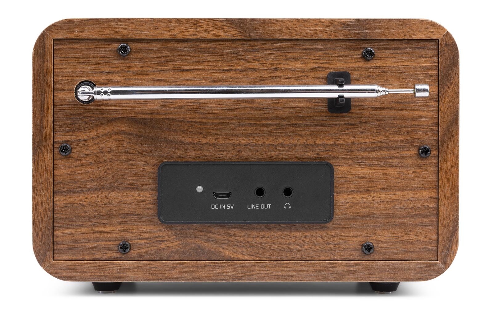 Audizio DAB+ Radio Milan Braun