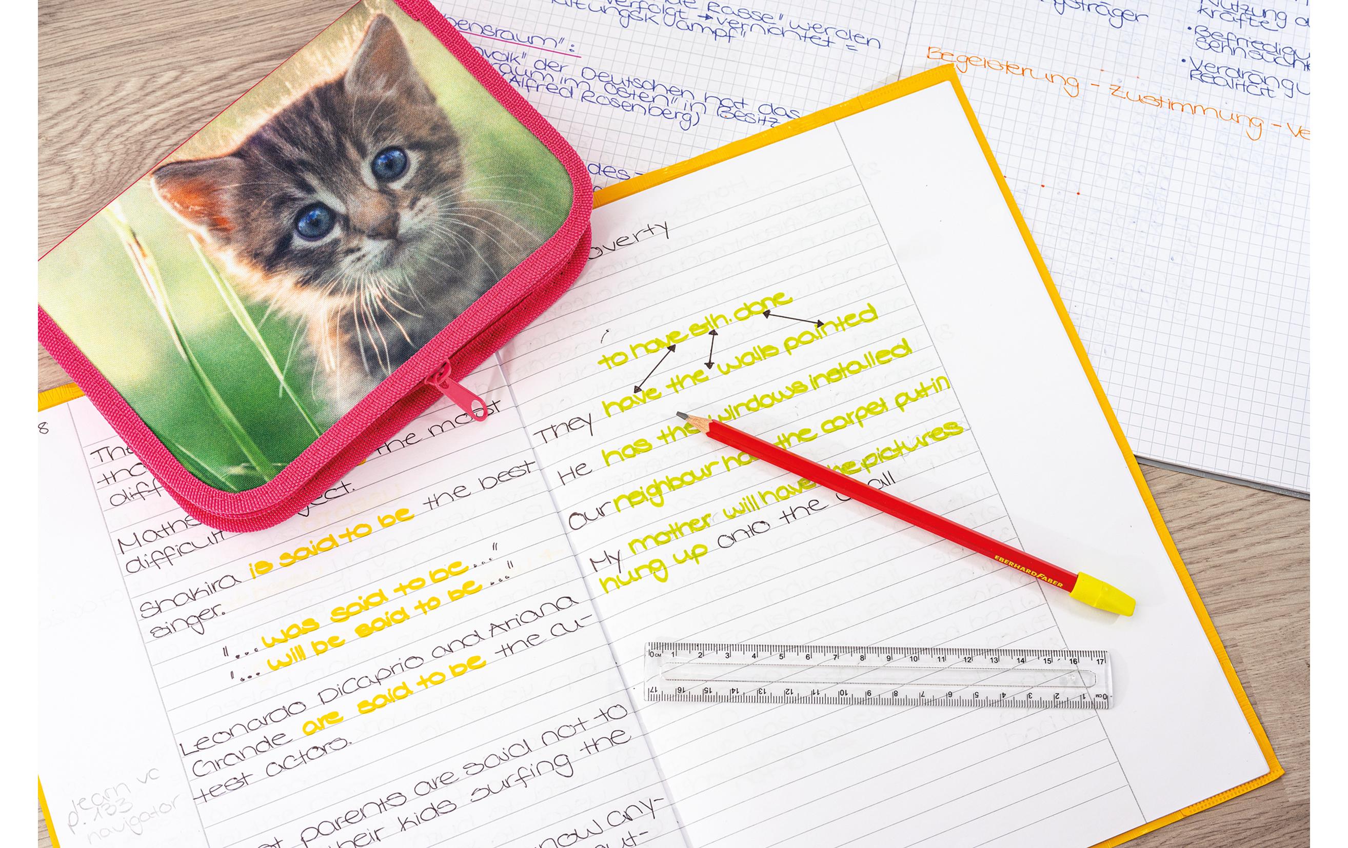 Eberhard Faber Etui Katze 42-teilig, Pink