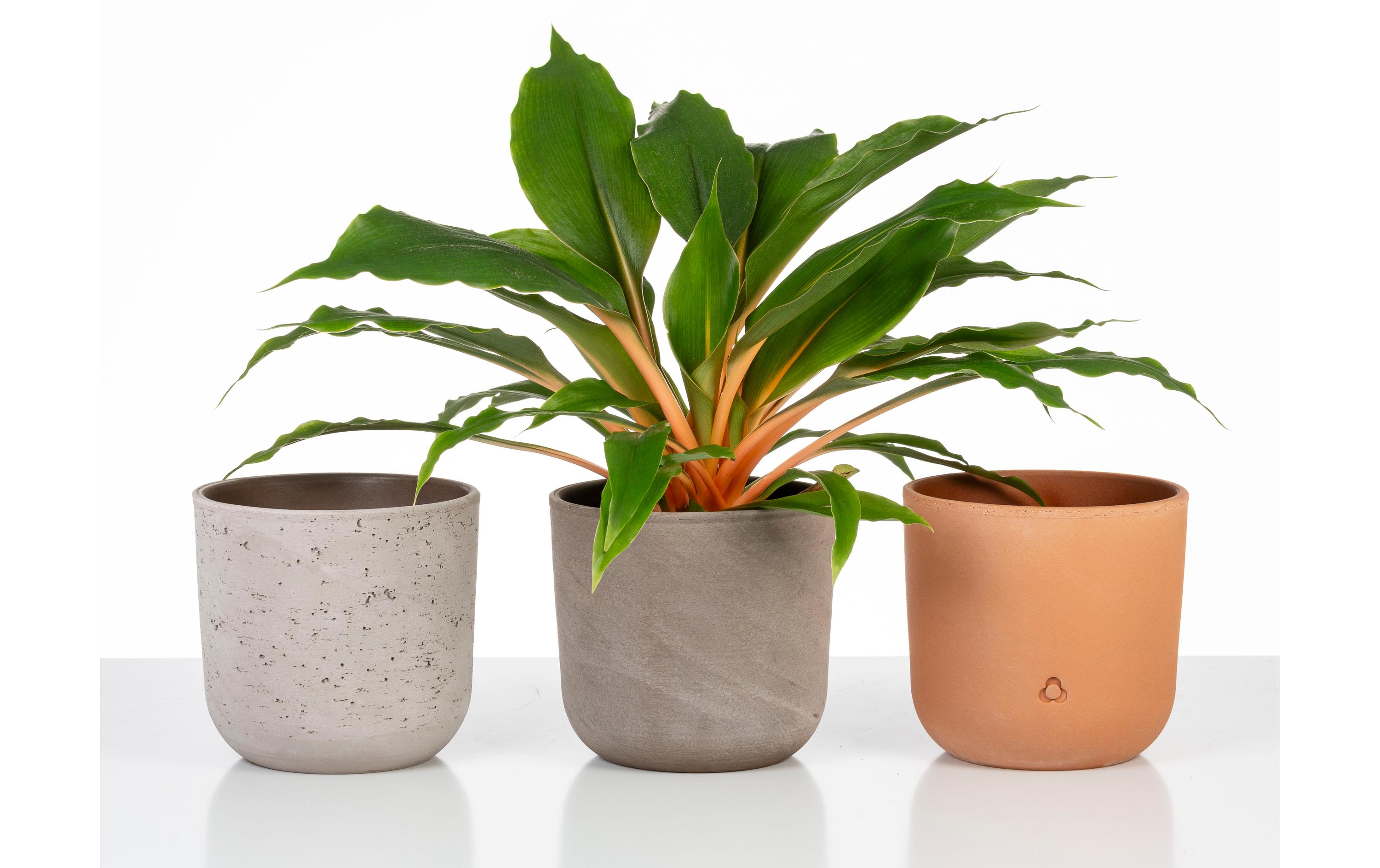 scheurich Blumentopf Basalto 20.2 cm, Grau