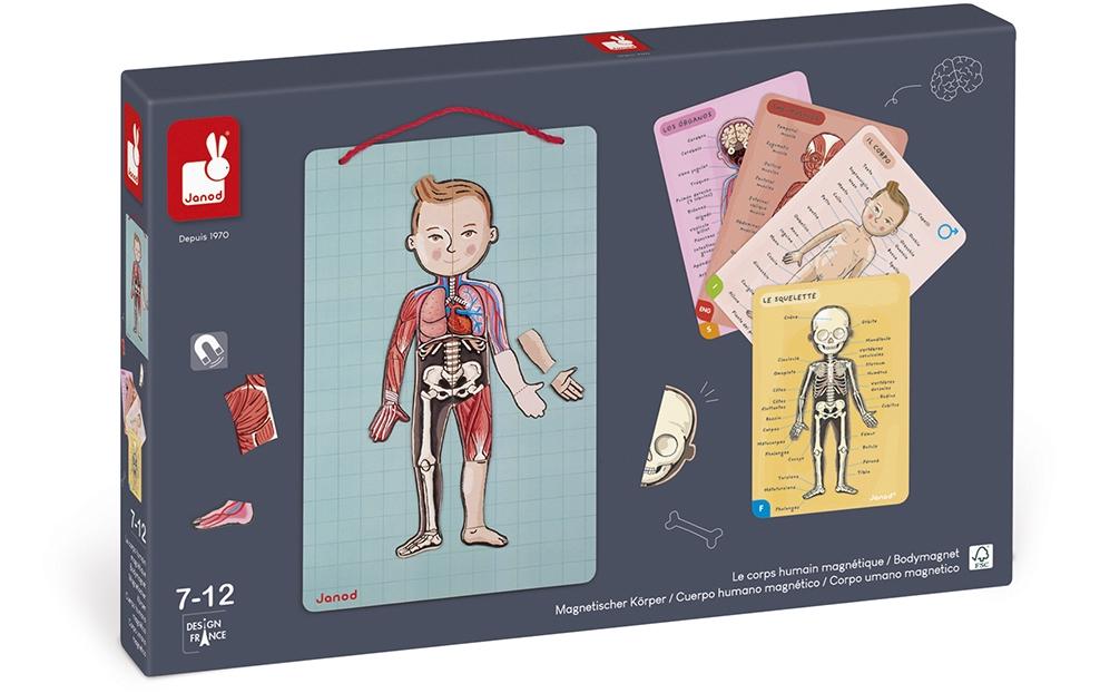 Janod Kinderspiel Magnetspiel Körper