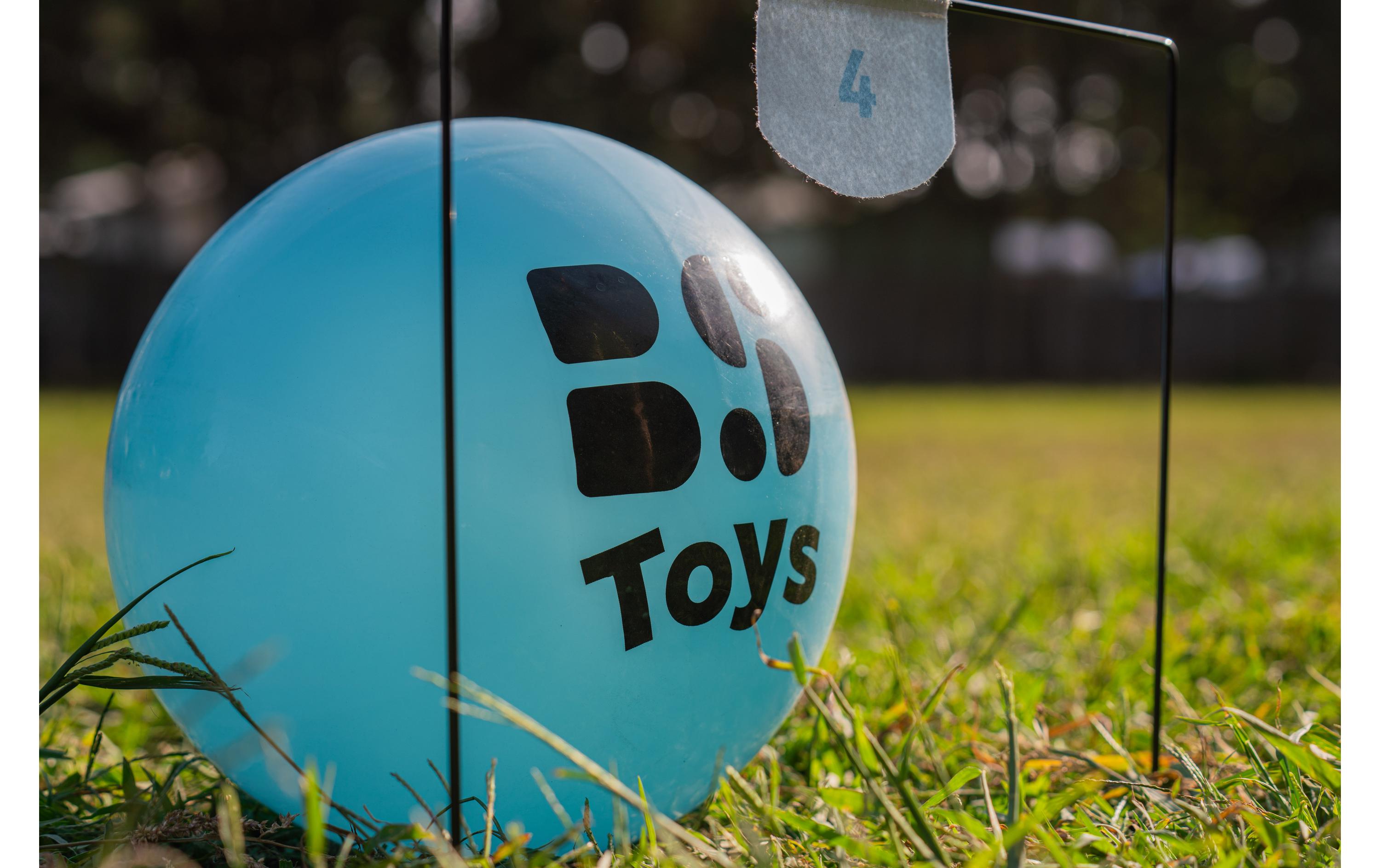 BS Toys Voetbal Croquet Filz Metall Gummi