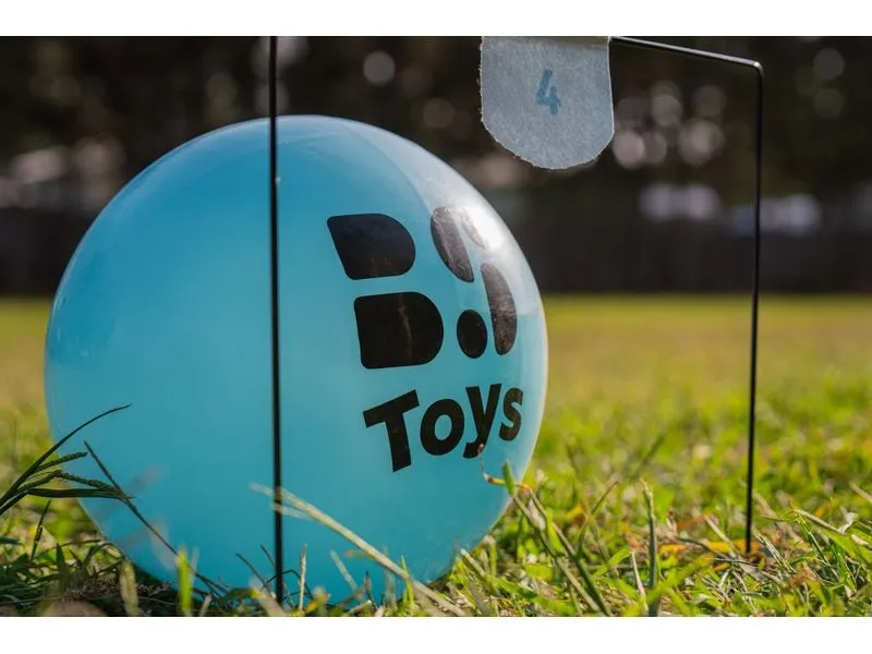 BS Toys Voetbal Croquet Filz Metall Gummi BS Toys Voetbal Croquet Filz Metall Gummi