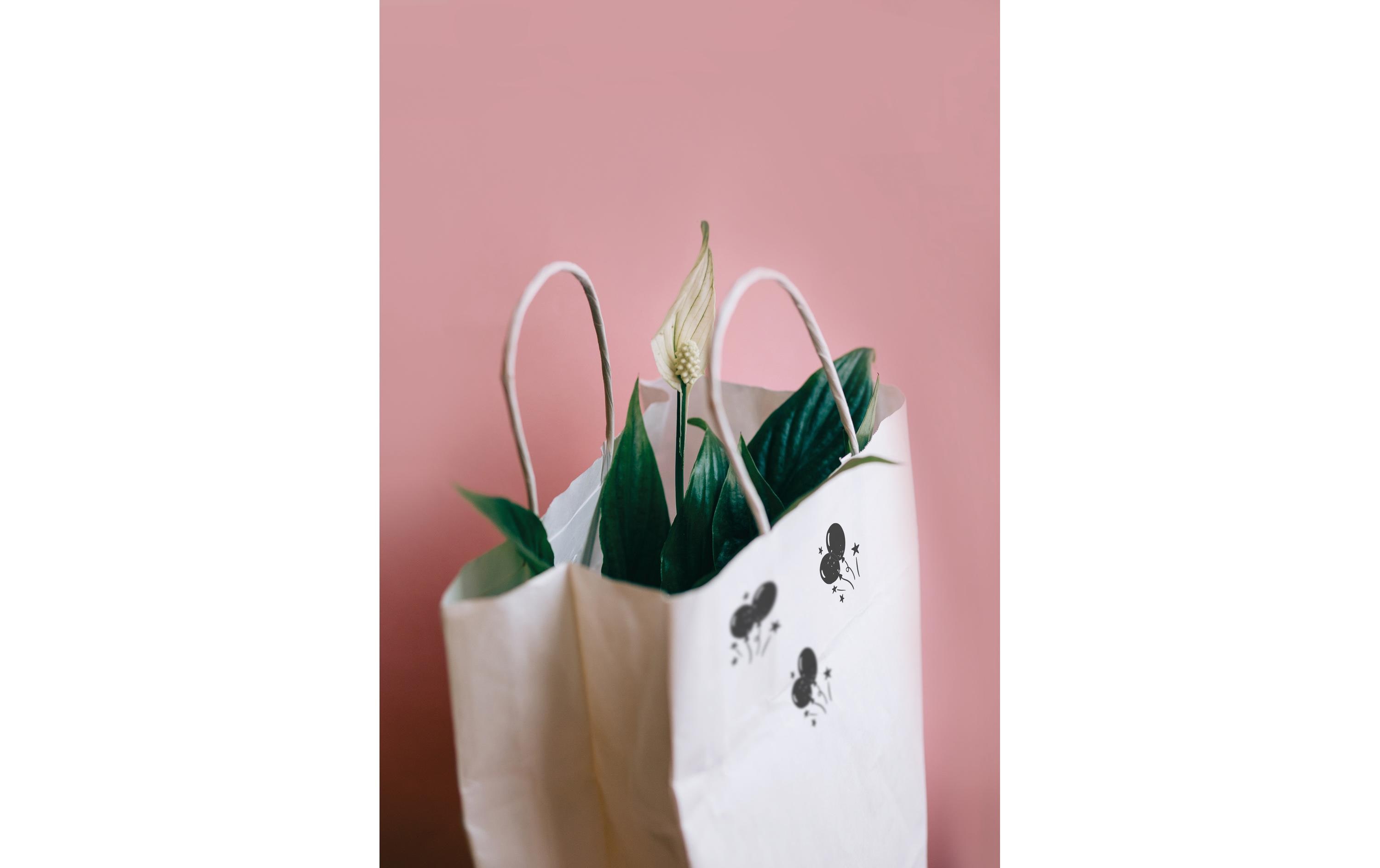 Colop Nio Stempelset Little Nio Set deutscher Text, 10-teilig Colop Nio Stempelset Little Nio Set deutscher Text, 10-teilig