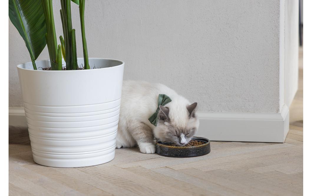 Designed by Lotte Kera Katzennapf Jace 15 x 15 x 3 cm, schwarz