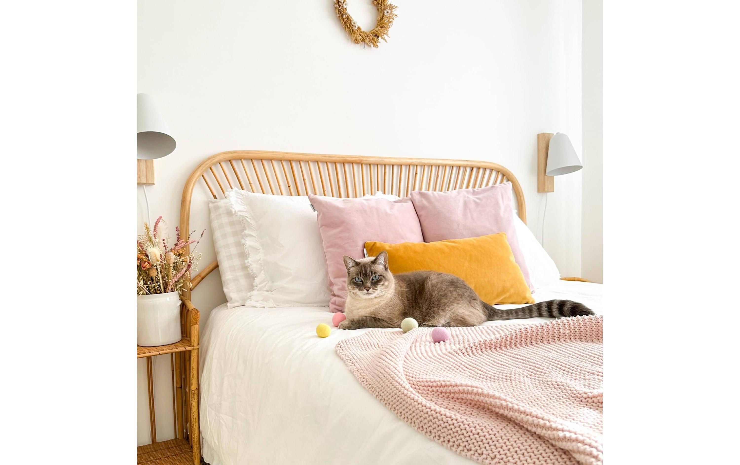 District 70 Katzen-Spielzeug Glow Felt Ball Toys, 35 mm, 4 Stück