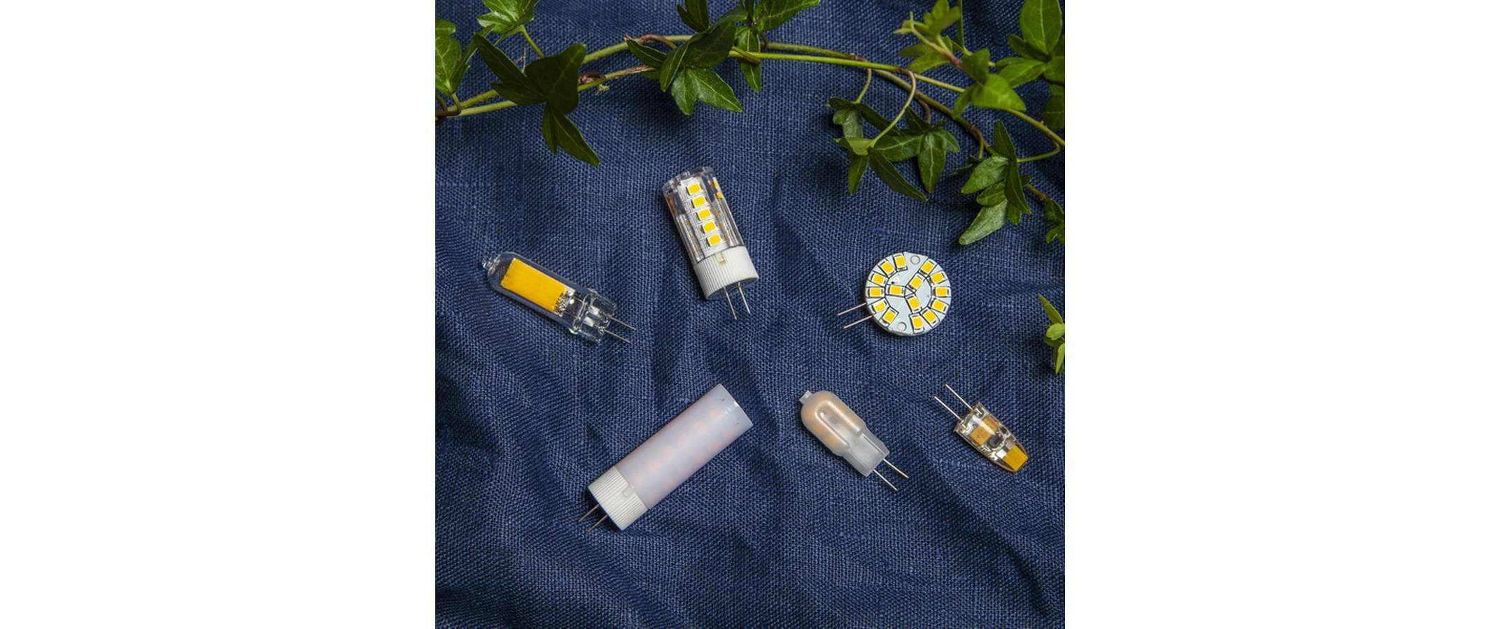 Star Trading LED Leuchtmittel G4 Halo-LED 180 lm, 2700K, 2W, 12 V AC/DC