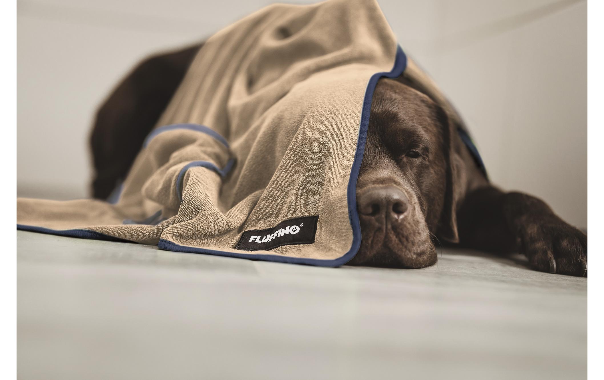 Fluffino Hundehandtuch-Set, Beige / Blau, L Fluffino Hundehandtuch-Set, Beige / Blau, L