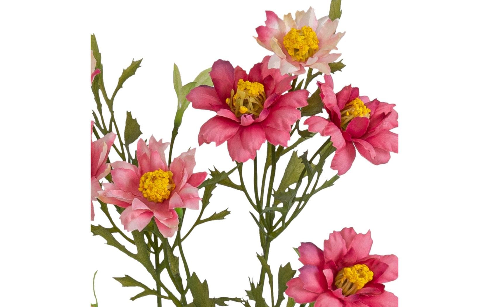 Botanic-Haus Kunstblume Blütenzweig Rosa, 68 cm