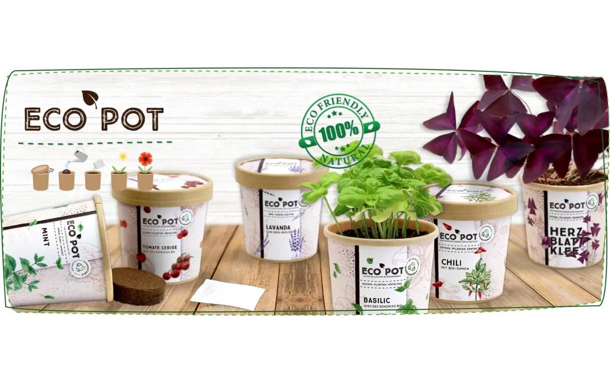 Feel Green EcoPot Lavendel BIO