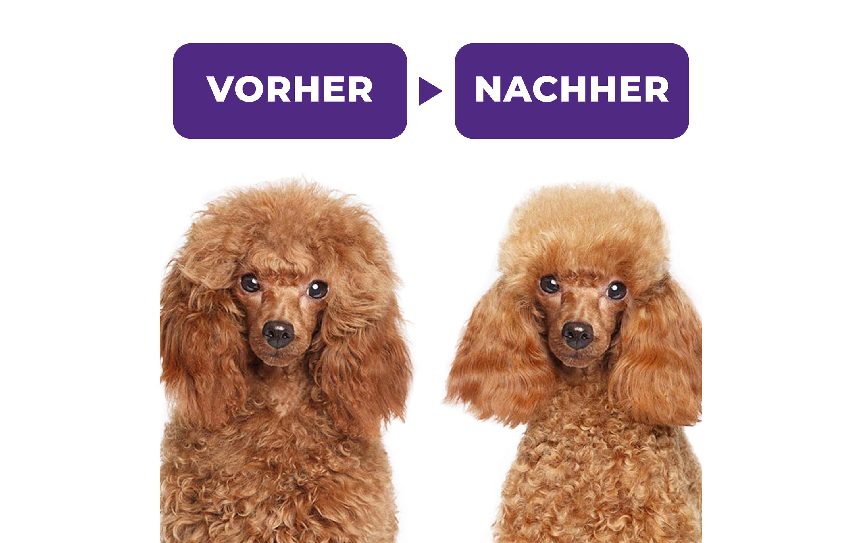 Quick Aid Ergo Selbstreinigende Haustierbürste