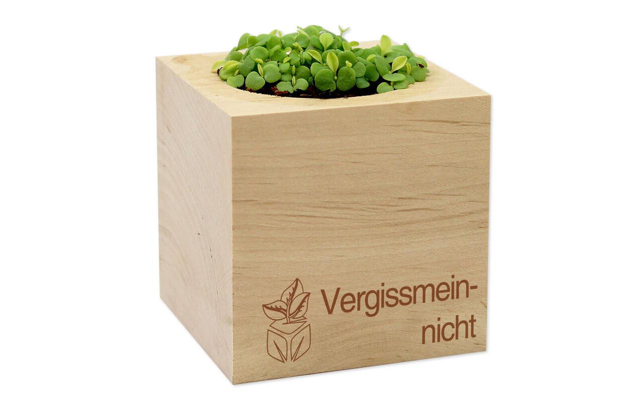 Feel Green Ecocube Vergissmeinnicht Feel Green Ecocube Vergissmeinnicht