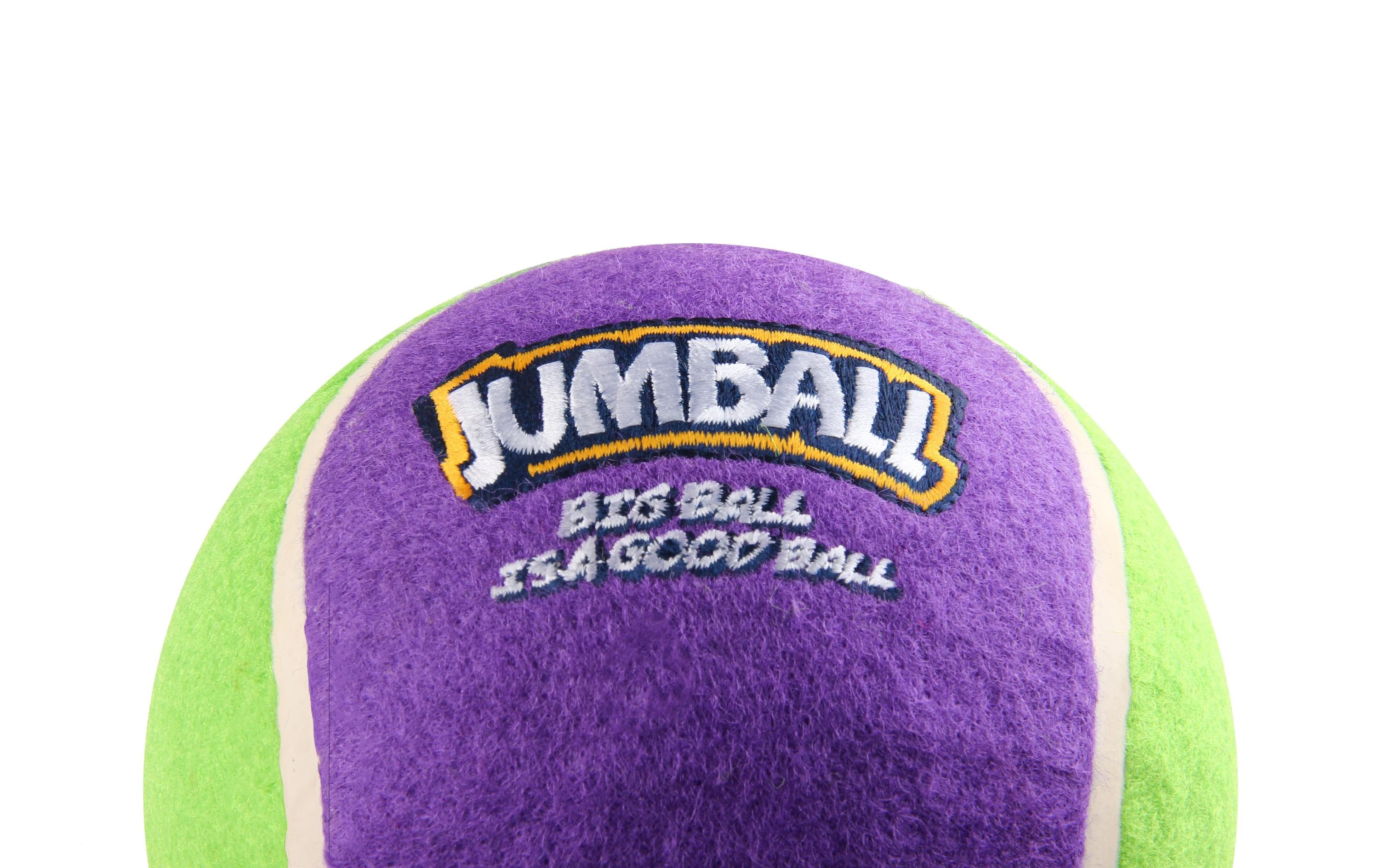 GiGwi Hunde-Spielzeug Jumpball, Tennis Ball, Grün/Violett