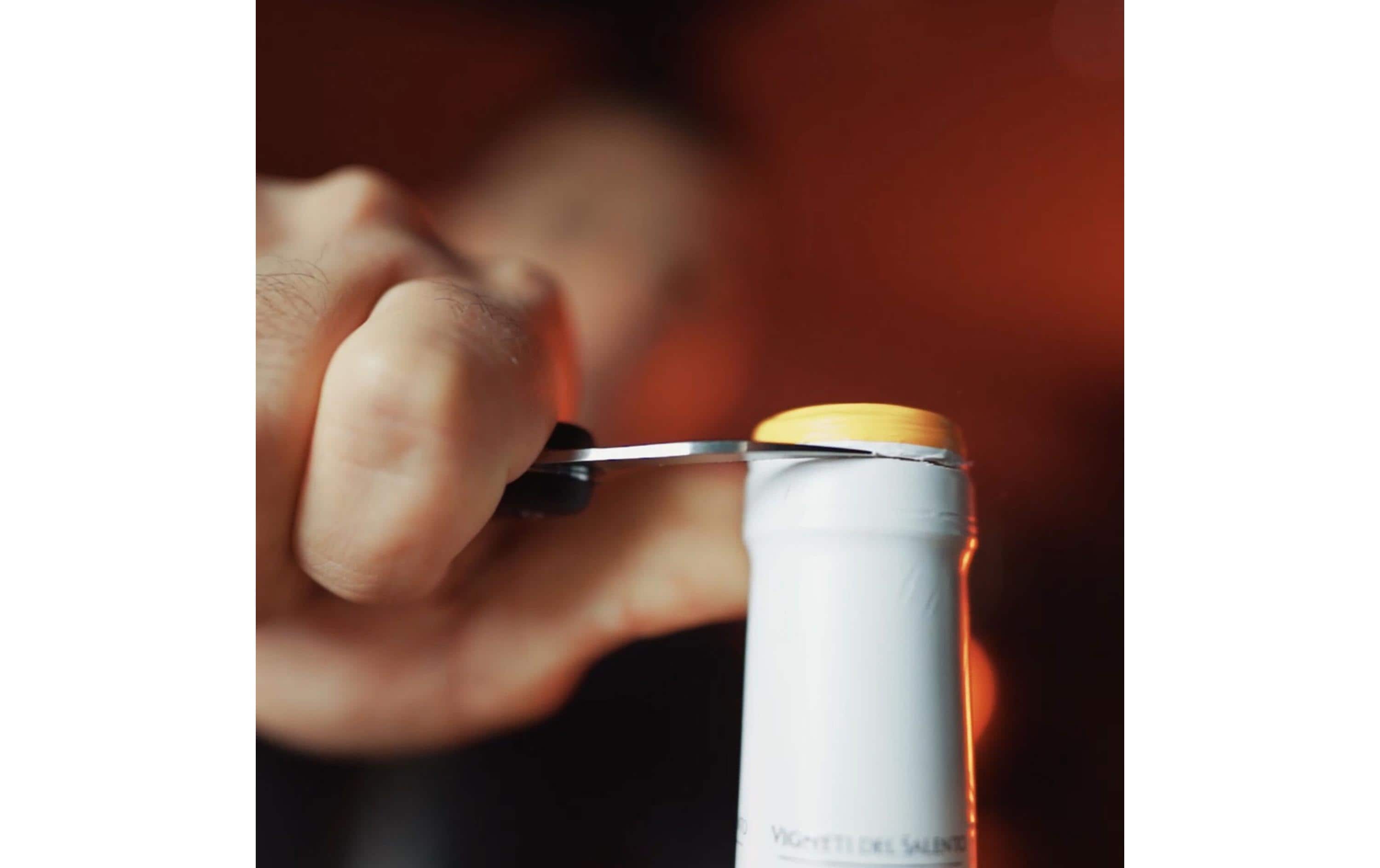 Fackelmann Korkenzieher Specter Schwarz