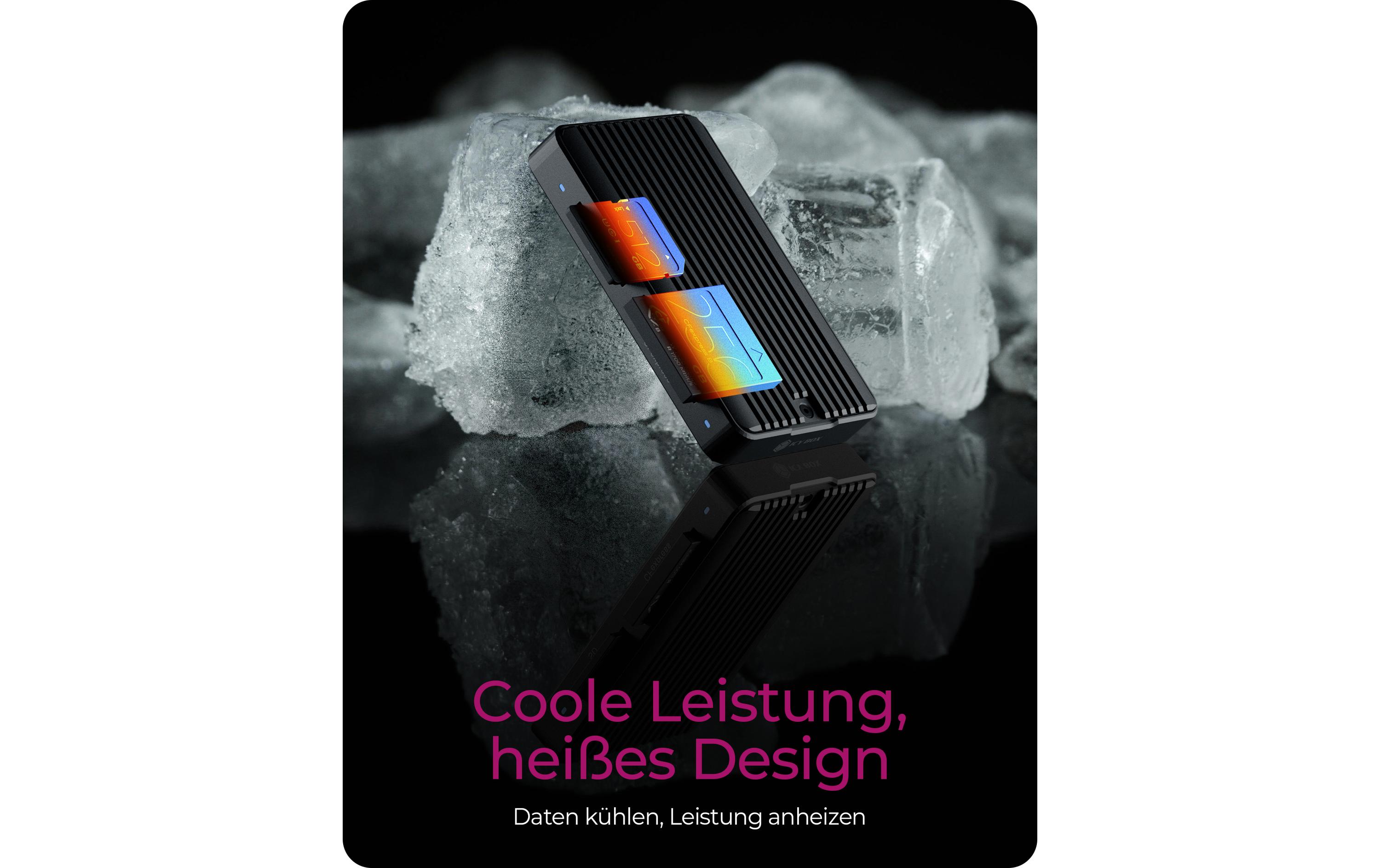 ICY BOX Card Reader Extern IB-CR504-C31