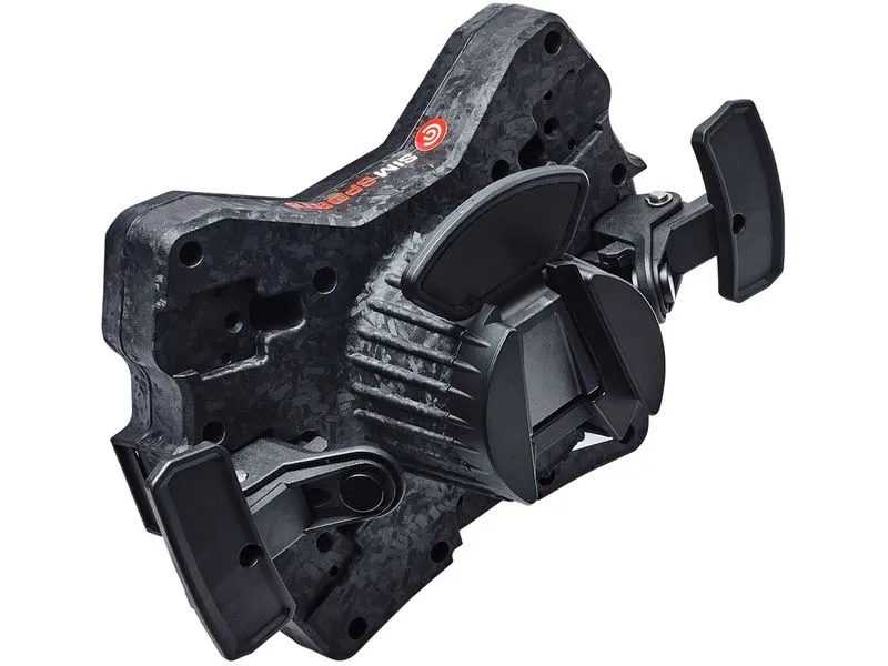 Asetek Racing Forte GT Carbon Schwarz