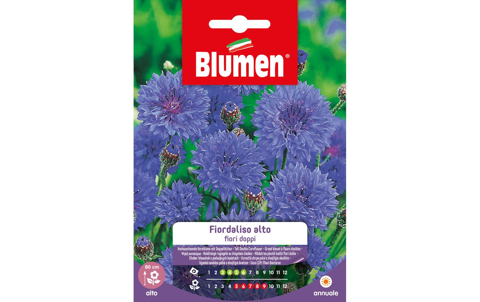 Blumen Saatgut Kornblume gefüllt hoch