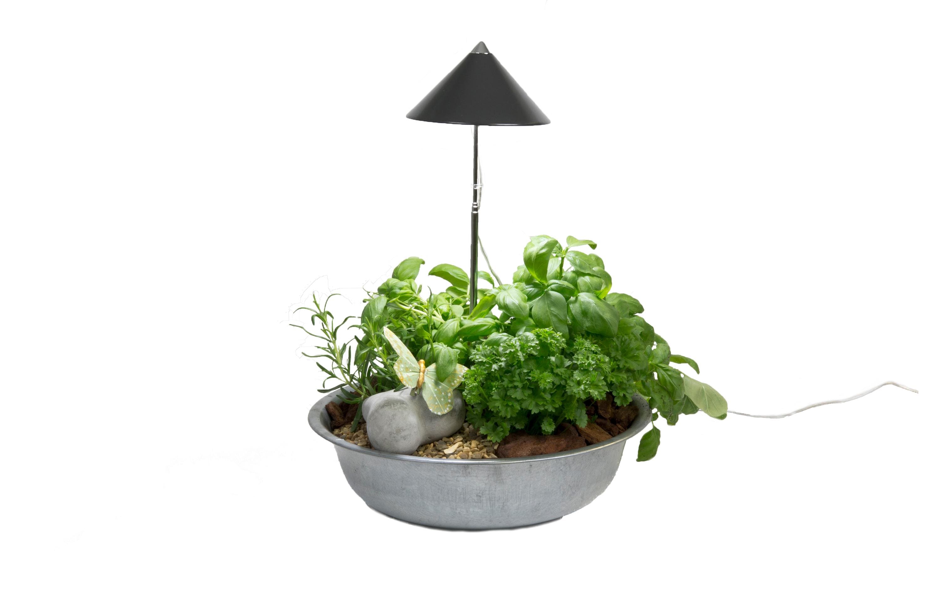 Venso Solutions Pflanzenleuchte SunLite 7 W, Grau