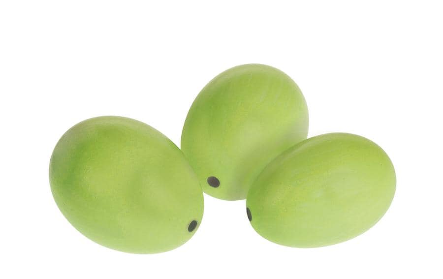 Opiflor Eier 12er Set, Grün