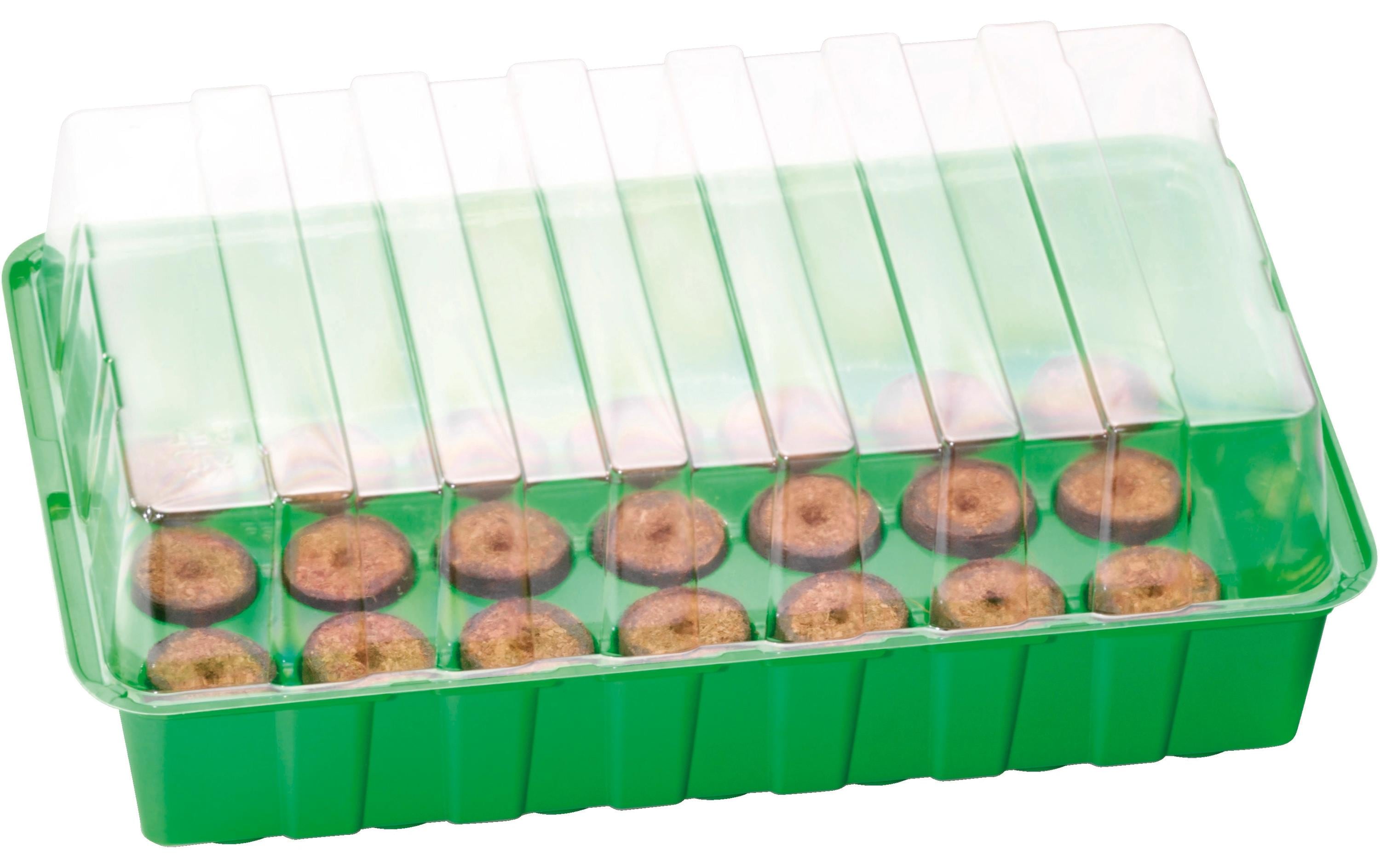 Romberg Anzuchthaus M PLUS COCO + 28 Kokos-Quelltabletten