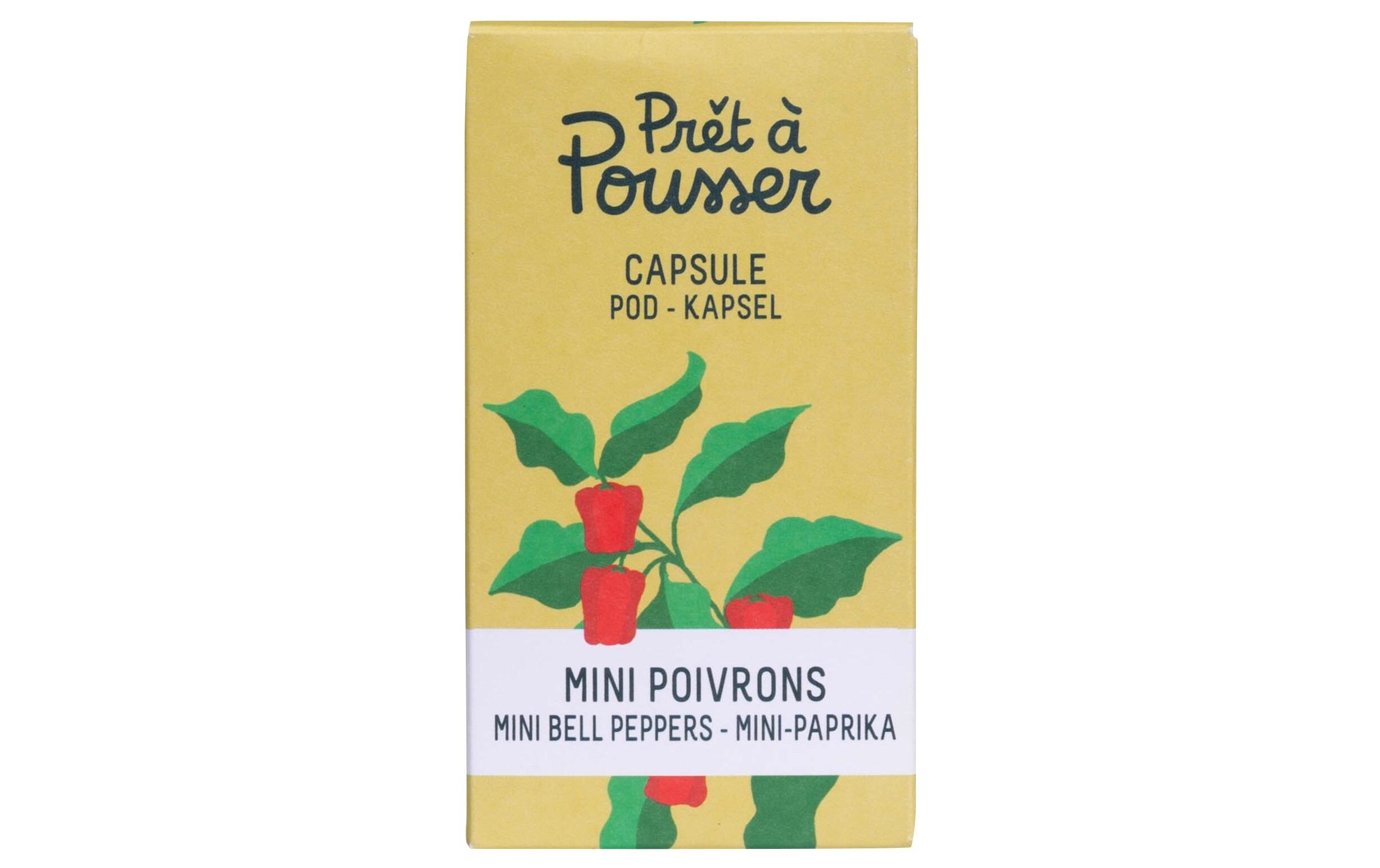 Prêt à Pousser Samen Mini-Paprika Prêt à Pousser Samen Mini-Paprika