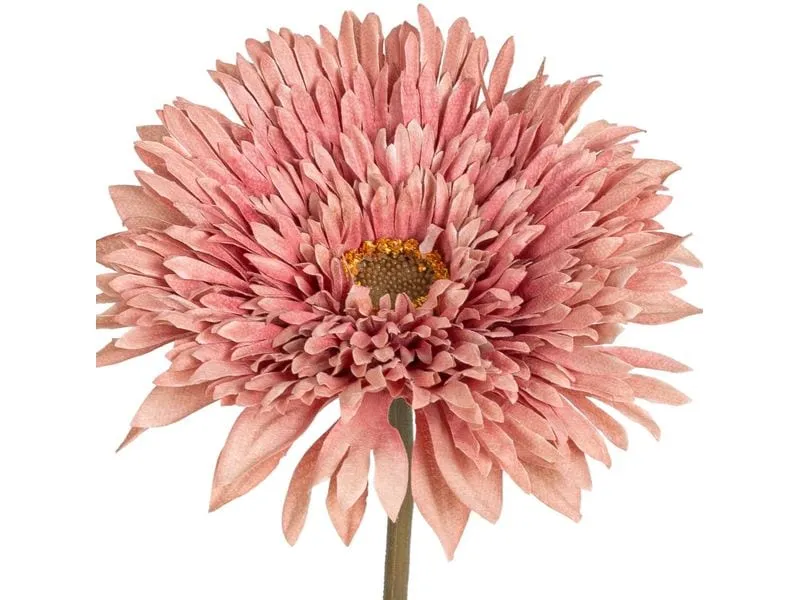 Botanic-Haus Kunstblume Gerbera, Altrosa, 63 cm Botanic-Haus Kunstblume Gerbera, Altrosa, 63 cm